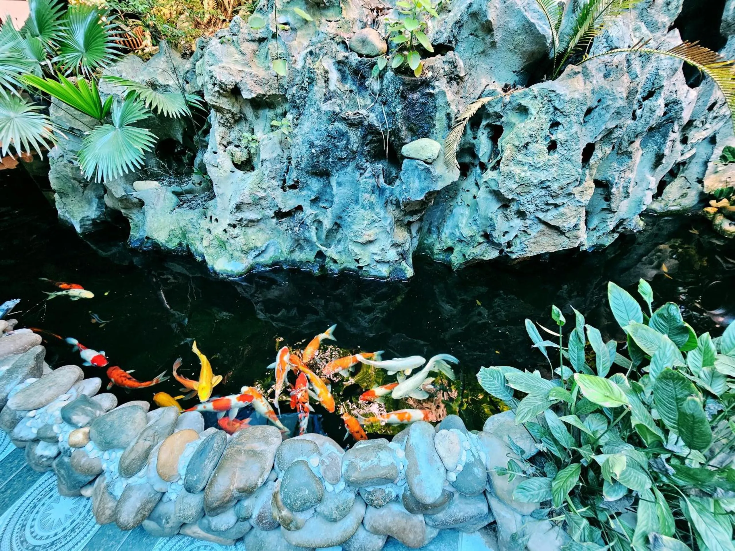 On site in Trang An Lotus Lake Homestay