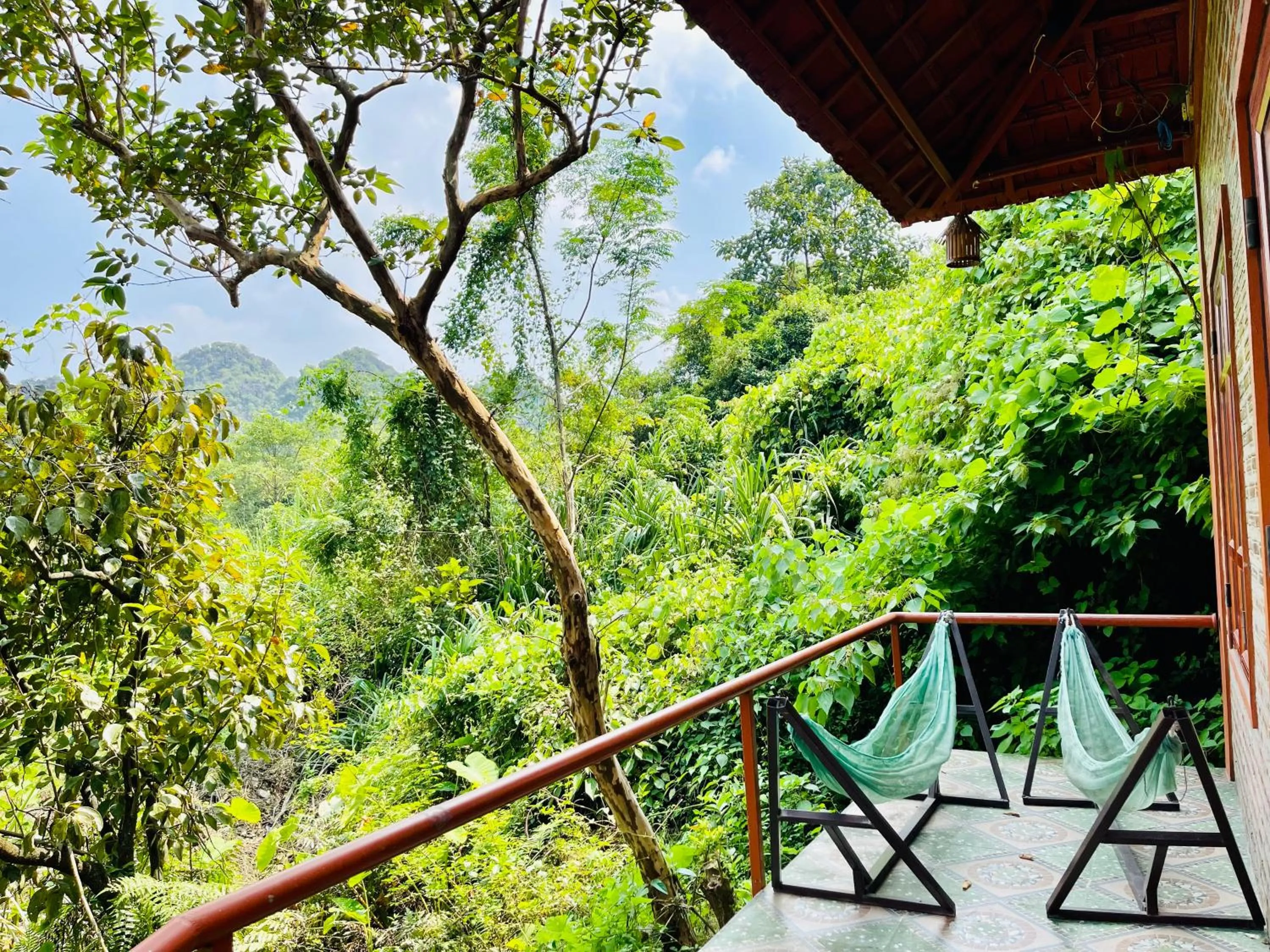 Natural landscape in Trang An Lotus Lake Homestay