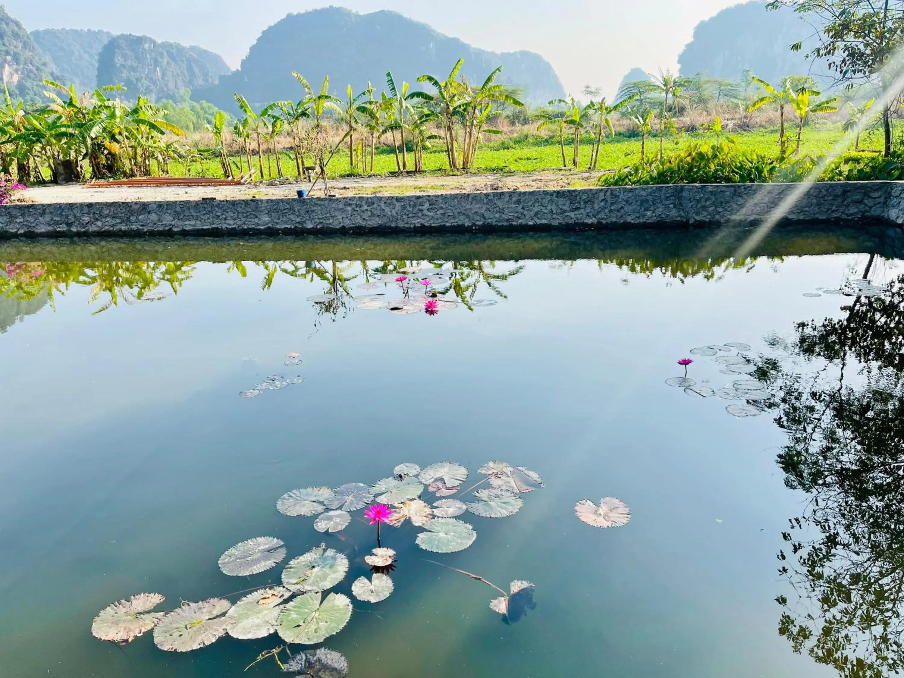 Mountain view in Trang An Lotus Lake Homestay