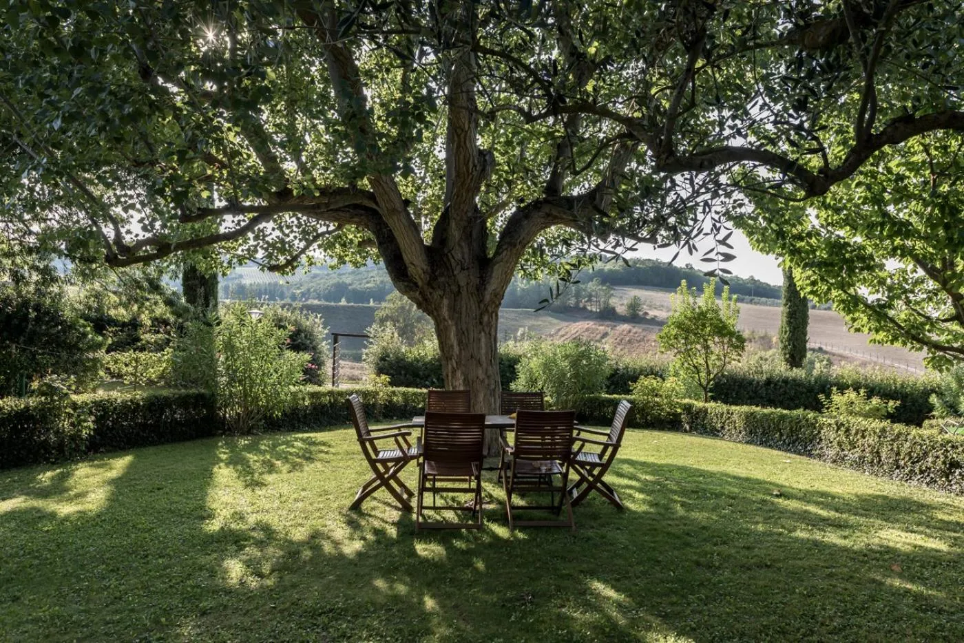 Garden in Borgo Al Cerro