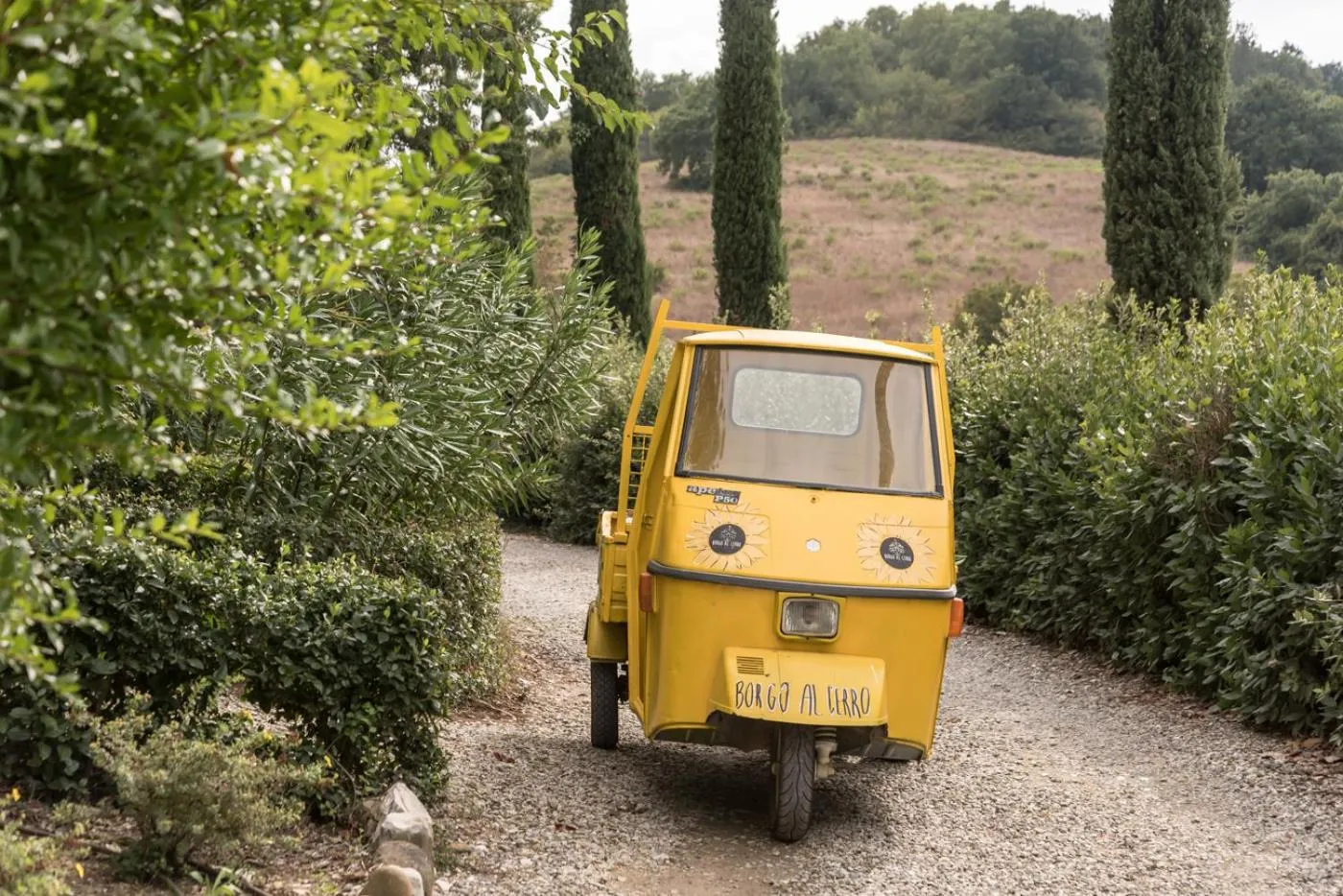 Garden in Borgo Al Cerro
