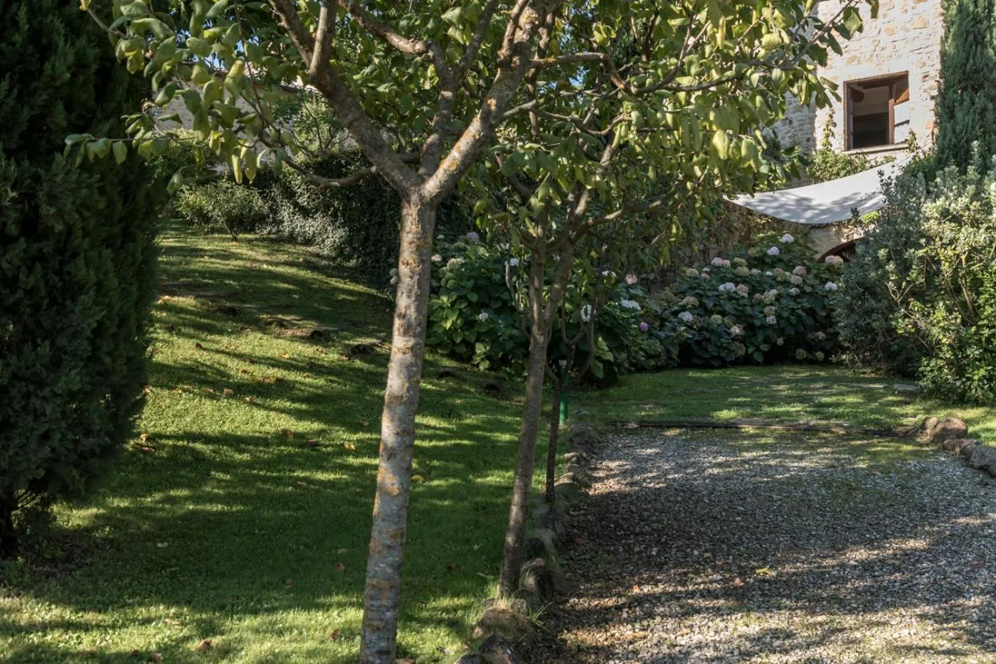 Garden in Borgo Al Cerro