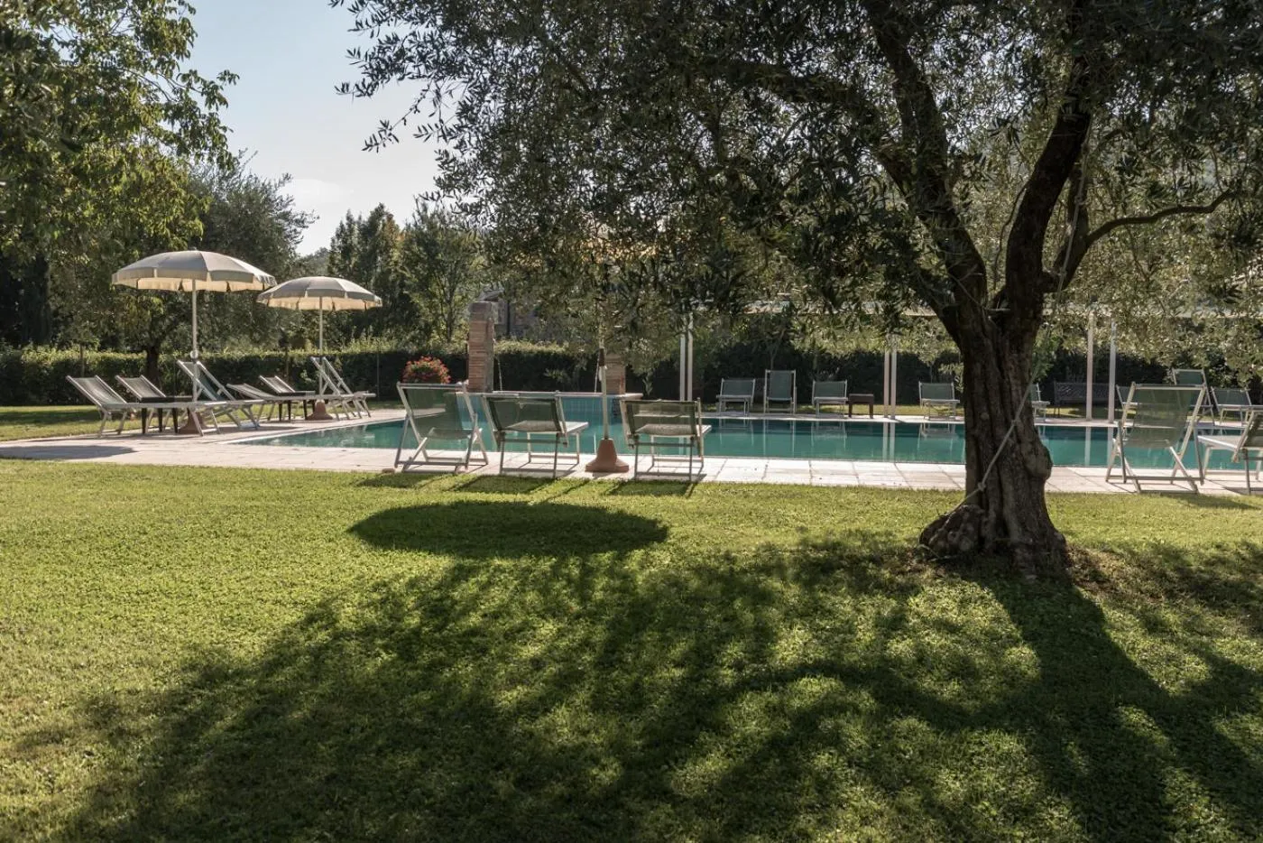 Garden in Borgo Al Cerro