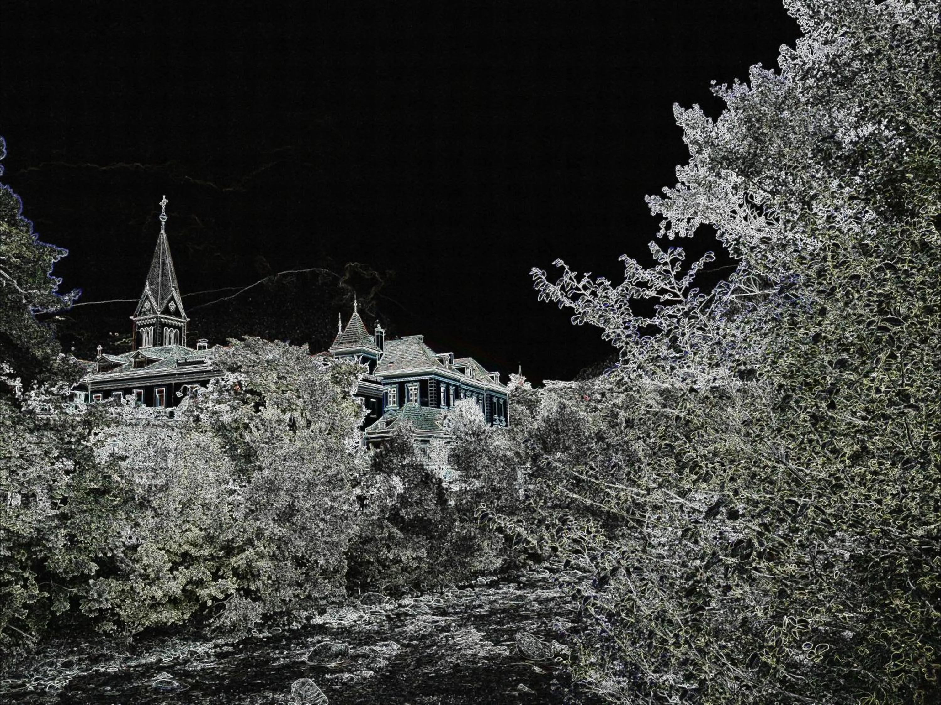 Natural landscape in Hotel Lux