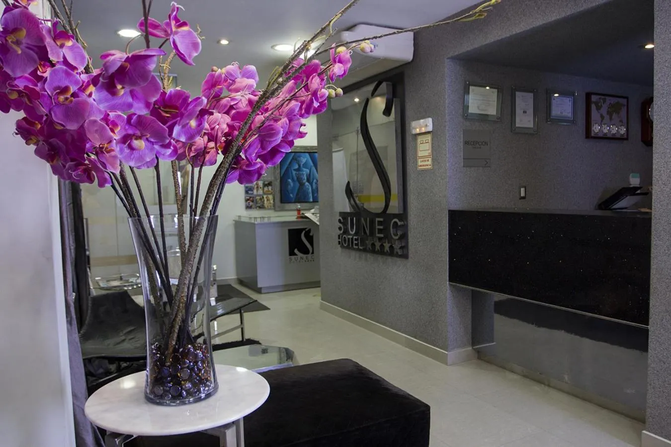 Lobby or reception in Sunec Hotel