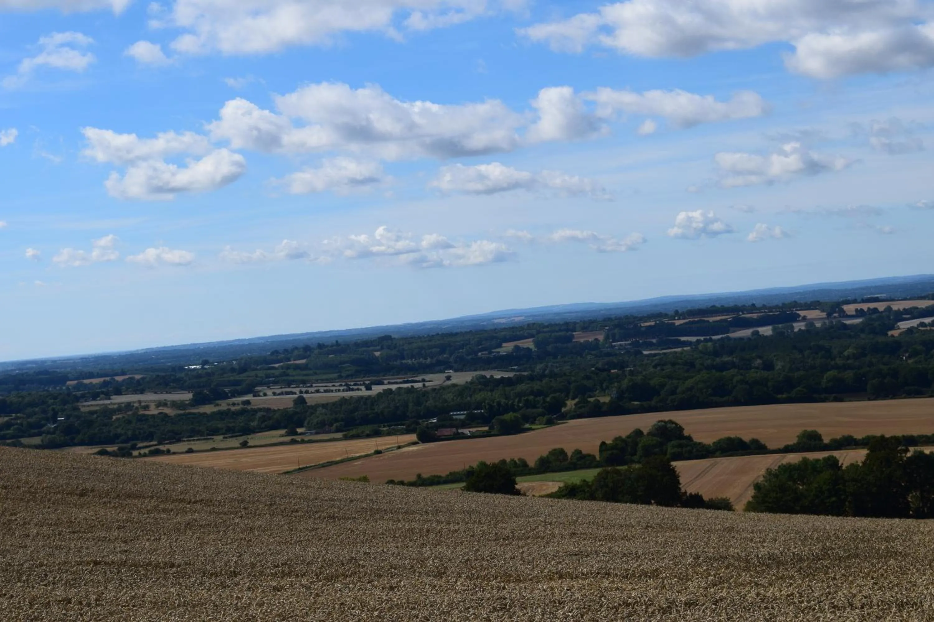 Spring, Bird's-eye View in The Plough Inn