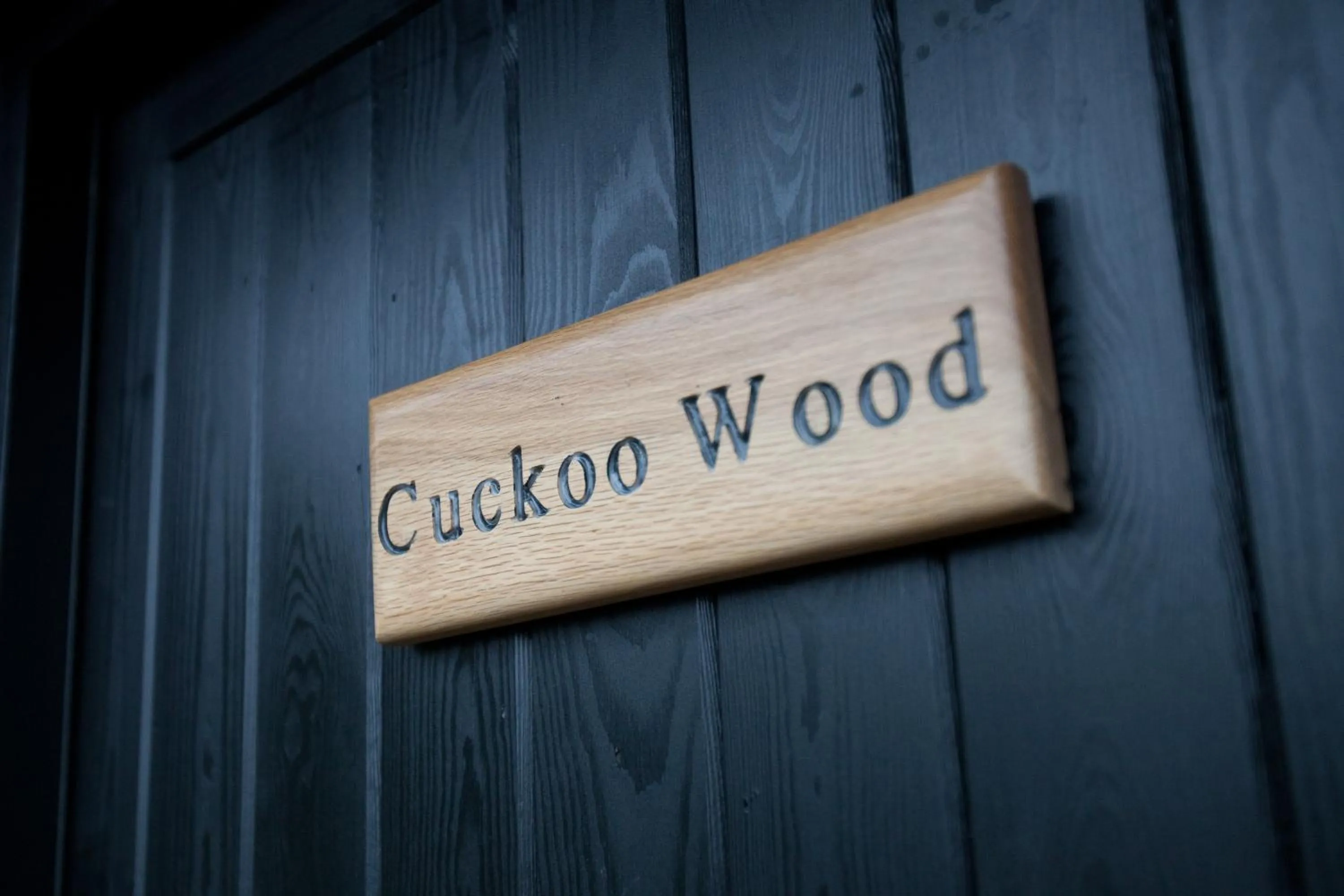 Decorative detail in The Plough Inn