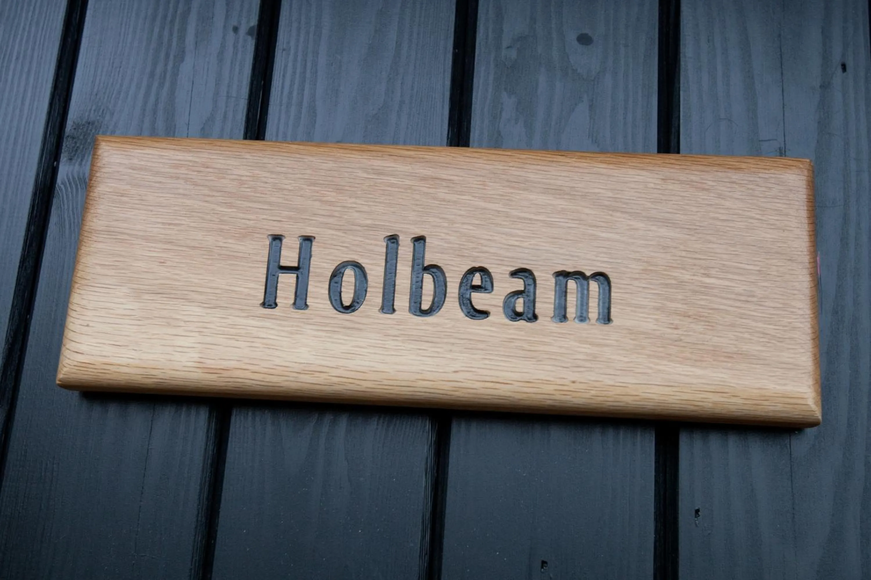 Decorative detail, Property Logo/Sign in The Plough Inn