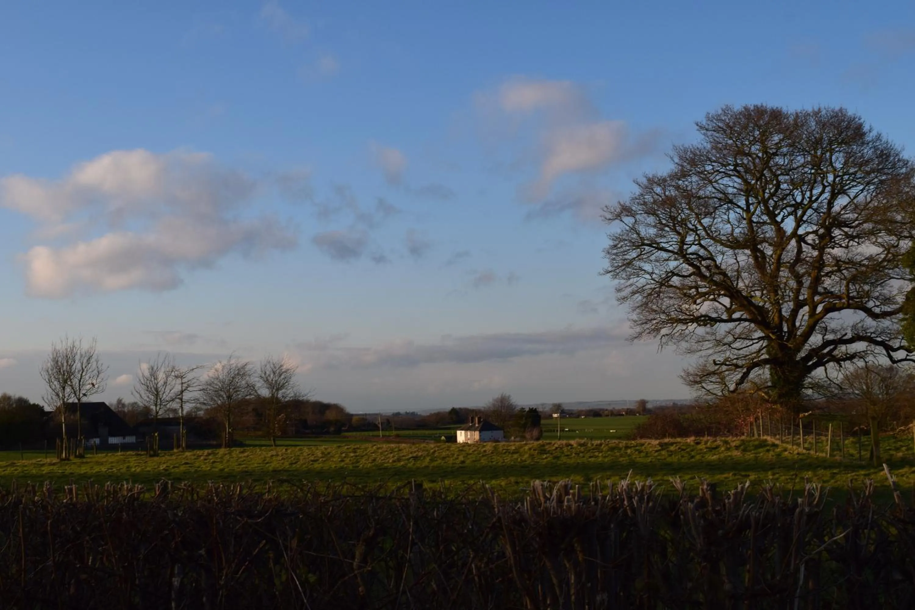Natural landscape in The Plough Inn