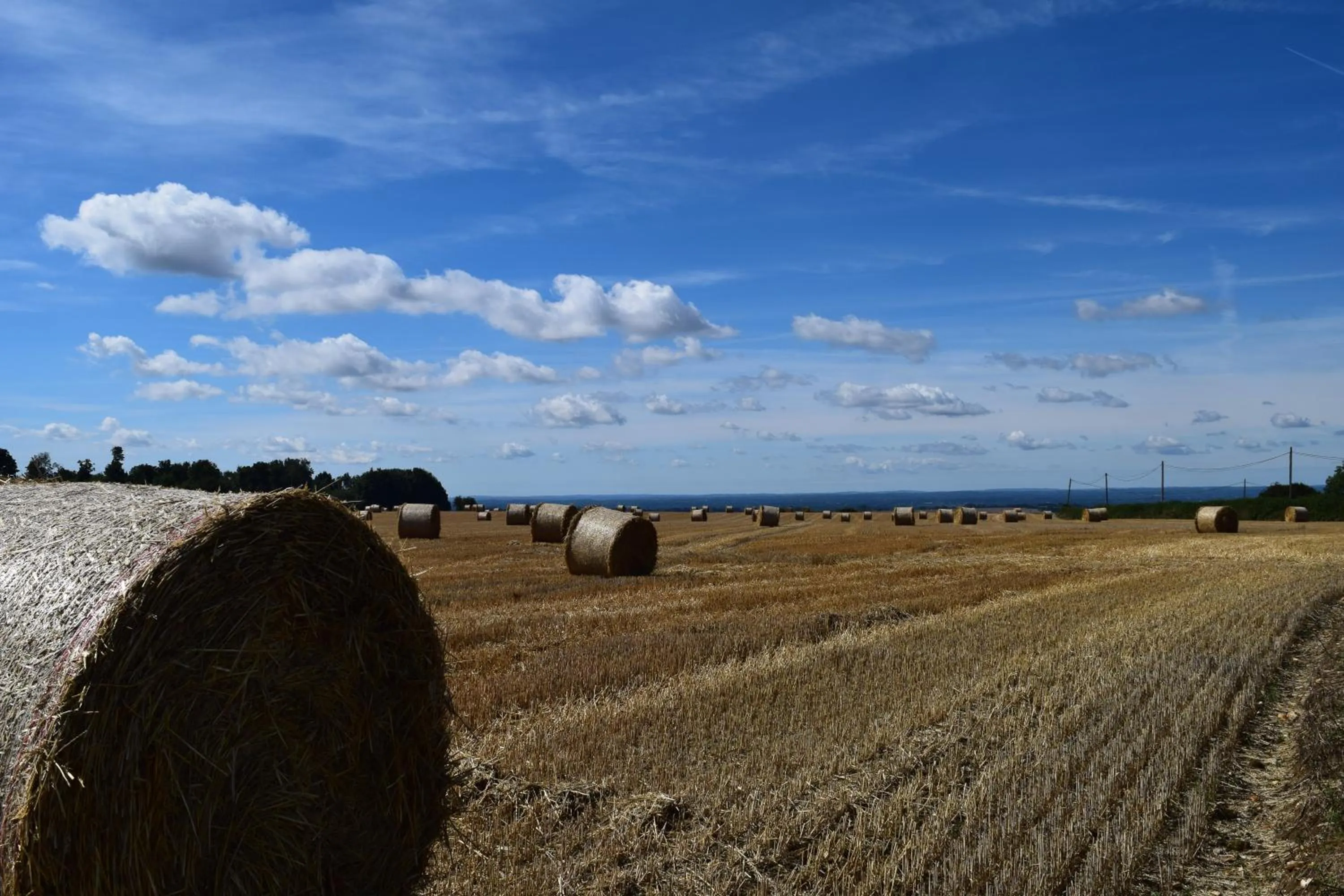 Off site, Beach in The Plough Inn