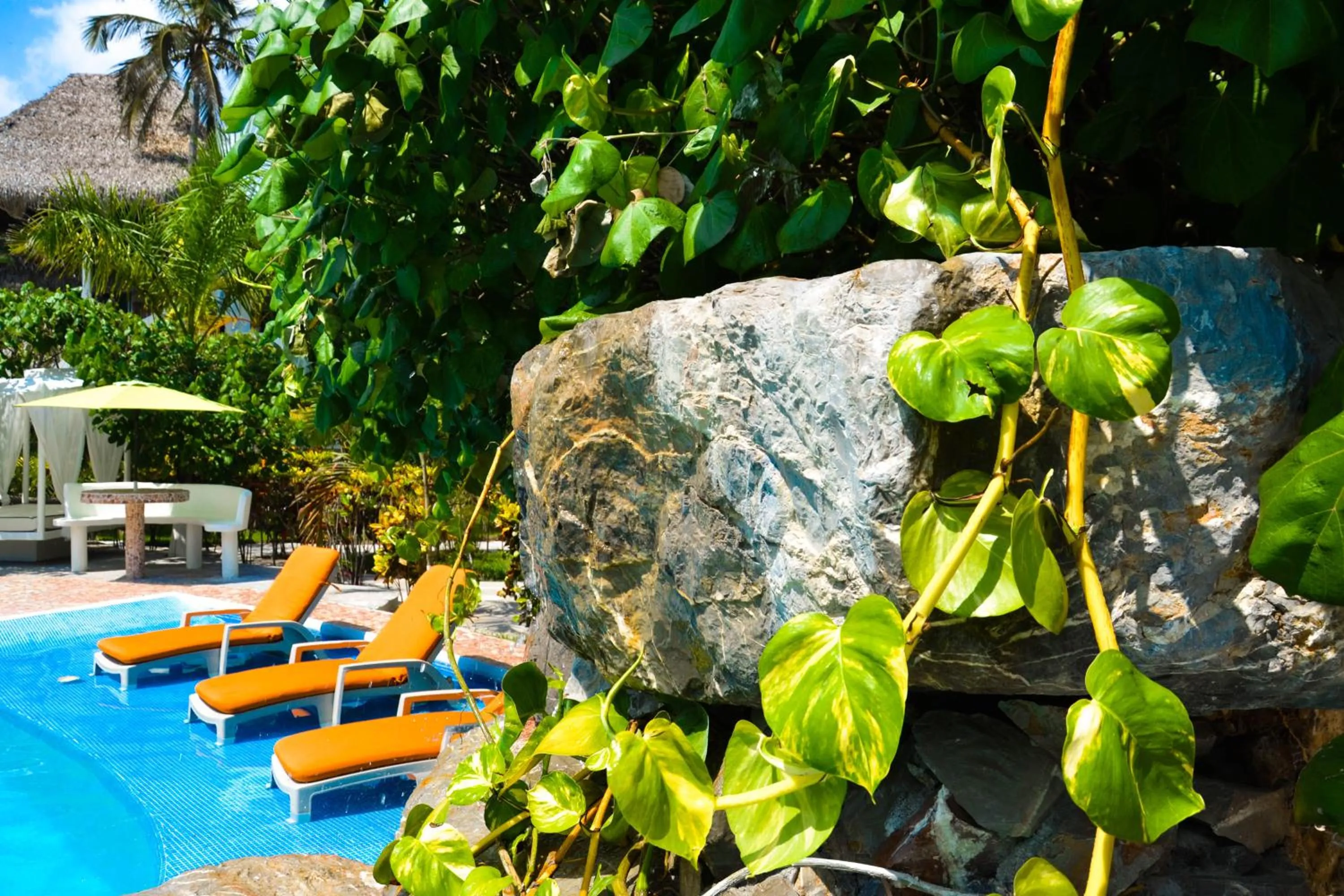 Garden in Bon Jesus Hotel