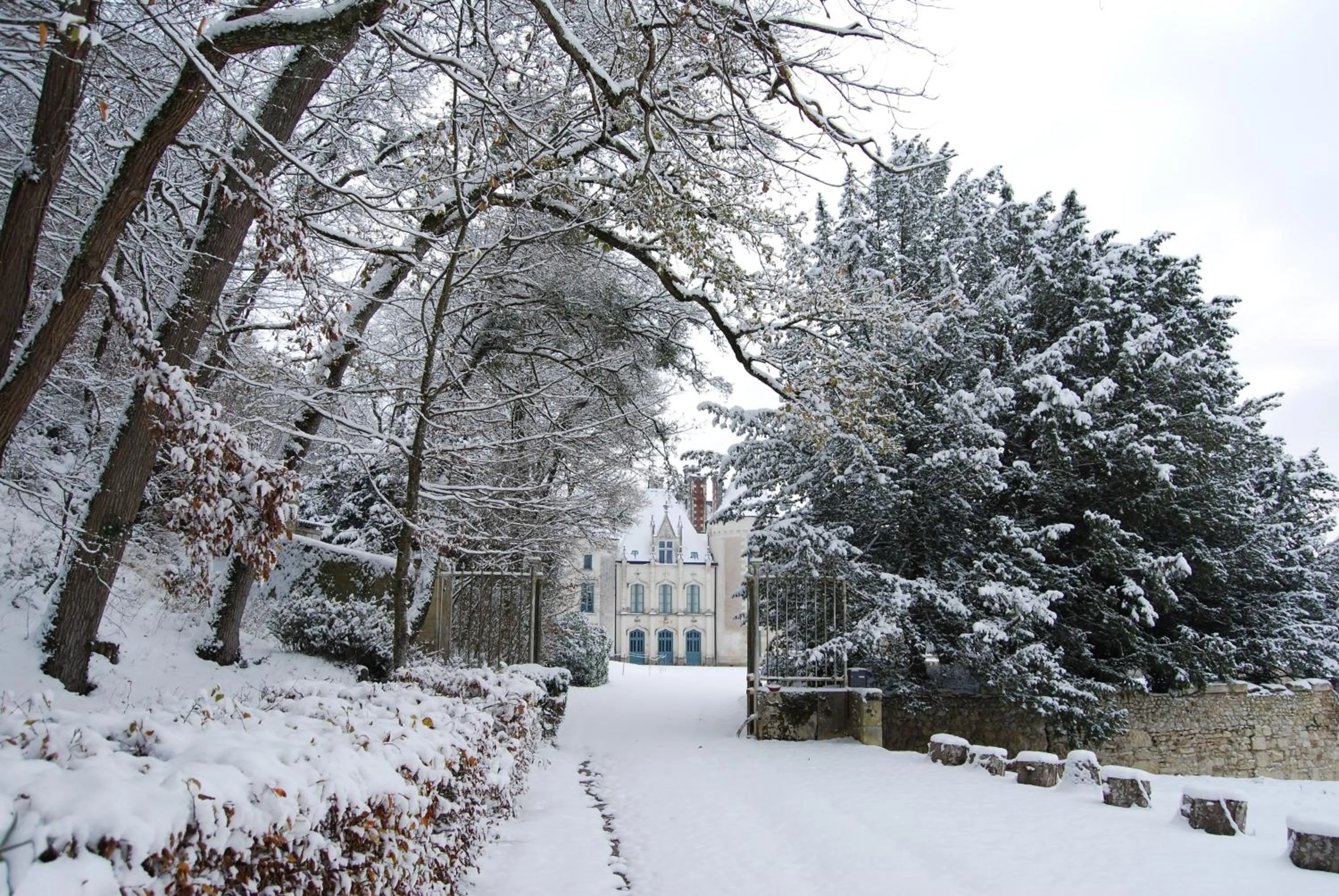 Garden in Chateau des Arpentis