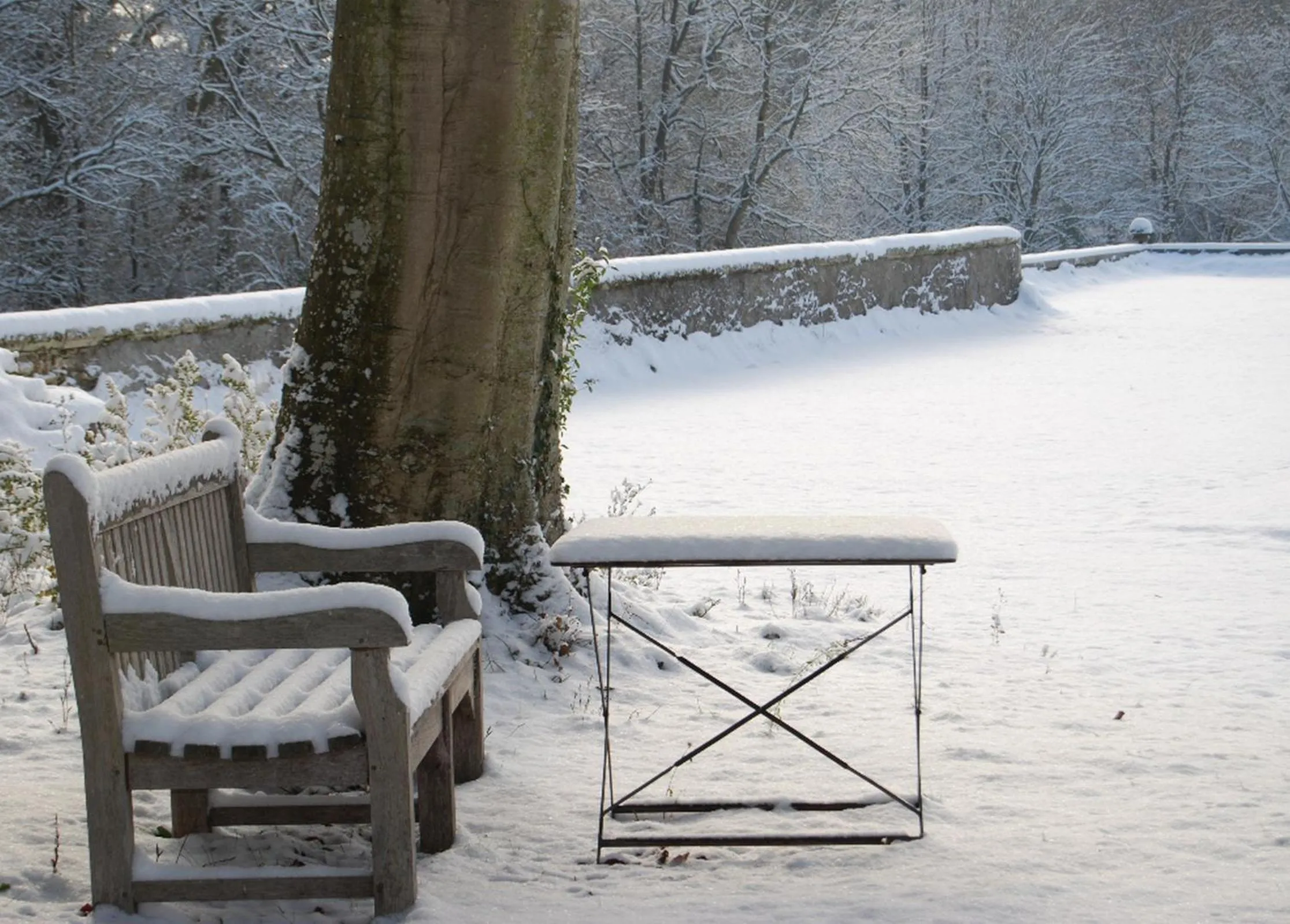 Garden in Chateau des Arpentis