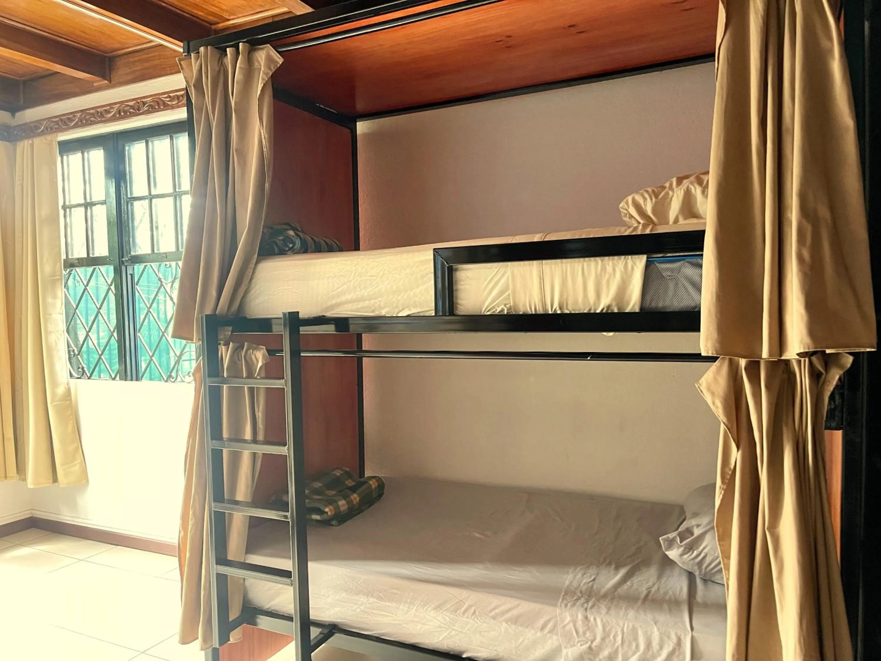 bunk bed, Bed in Costa Rica Guesthouse