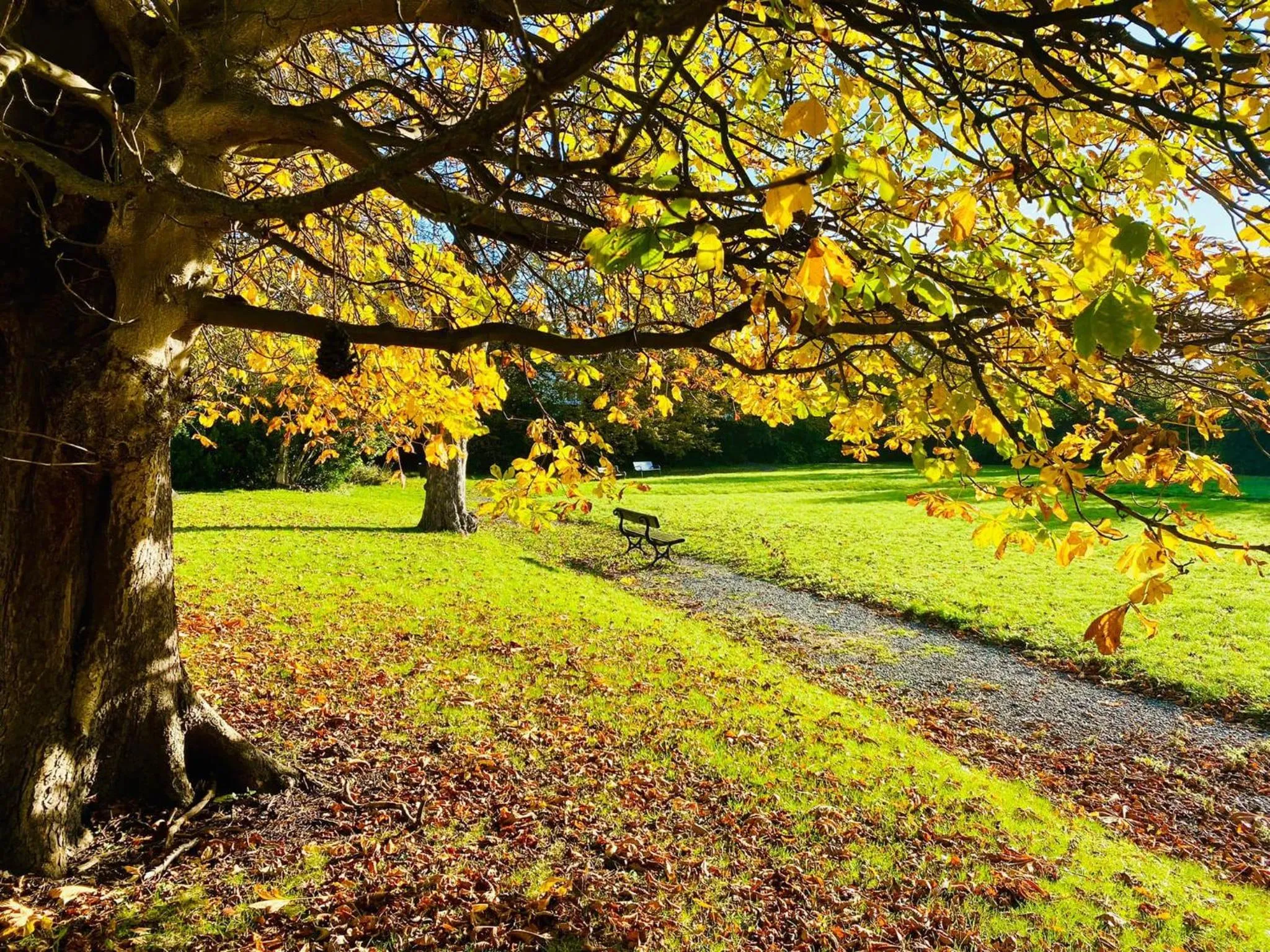 Endsleigh Park Hotel