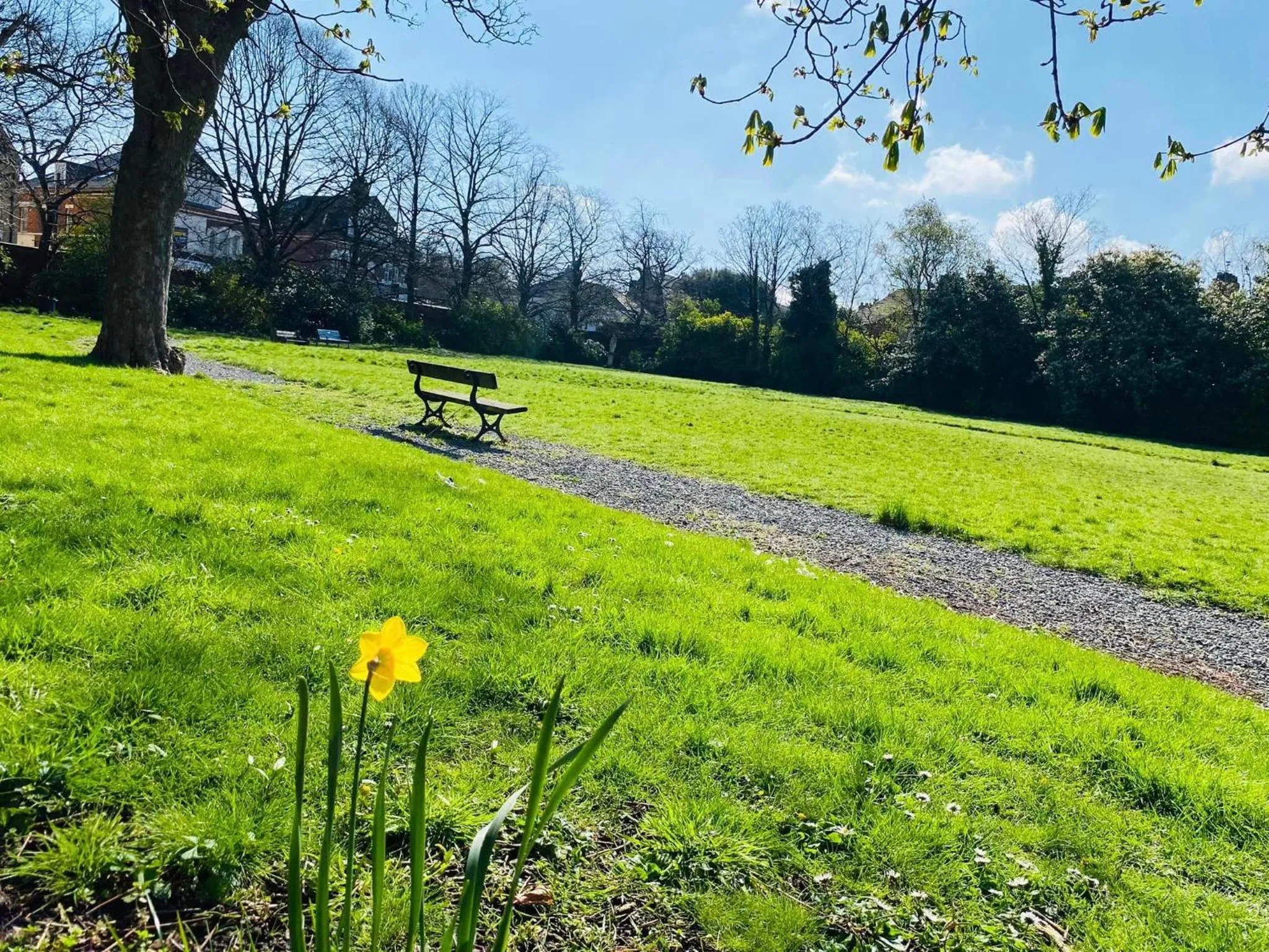 Endsleigh Park Hotel