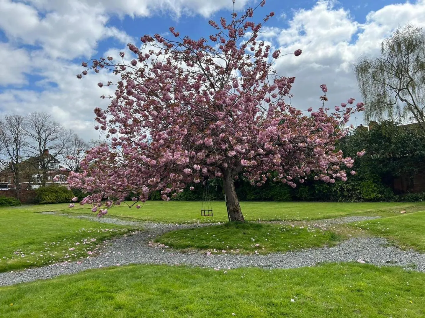 Garden in Endsleigh Park Hotel