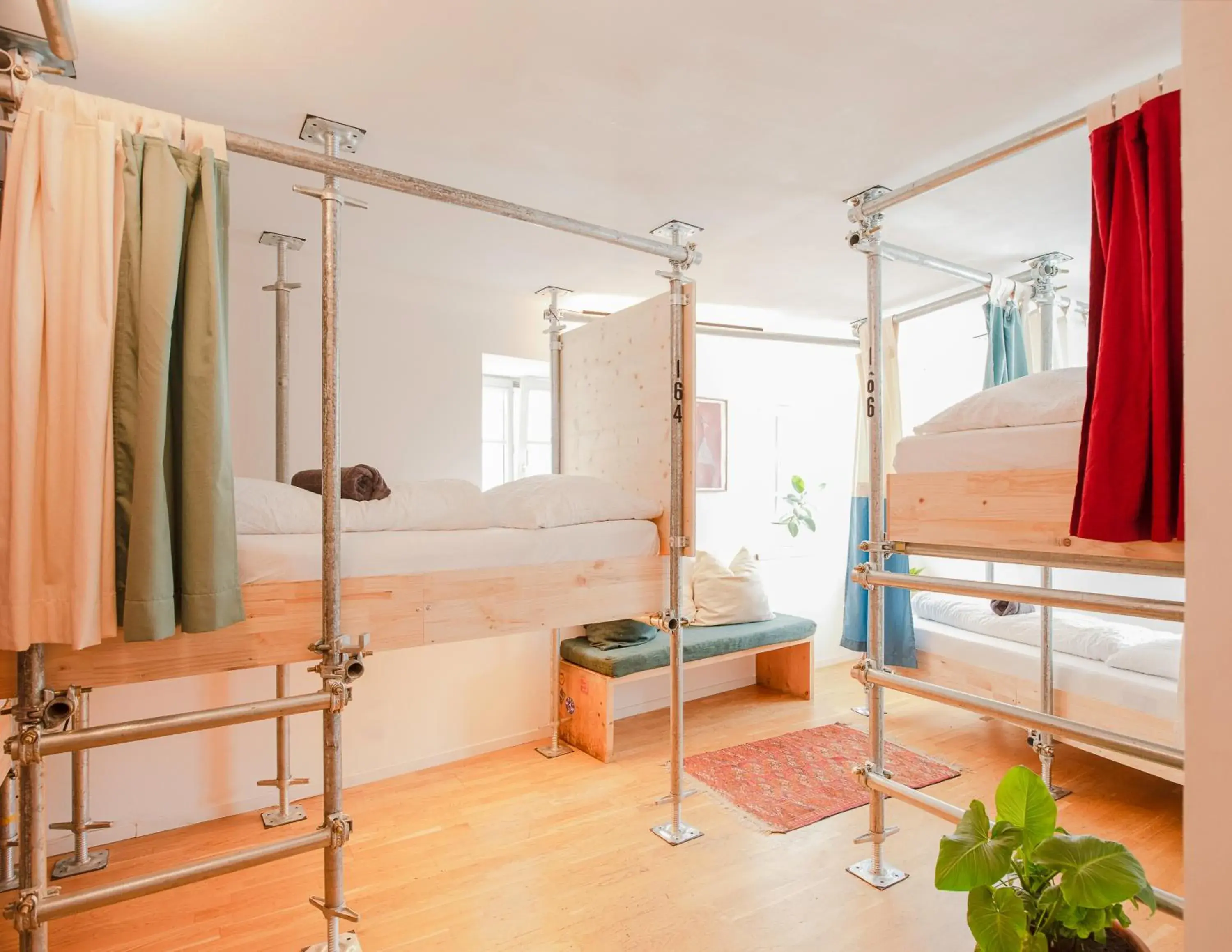 Single Bed in 6 bed Female Dormitory Room in Montagu Hostel & Bar Single Bed in 6 bed Female Dormitory Room in Montagu Hostel & Bar
