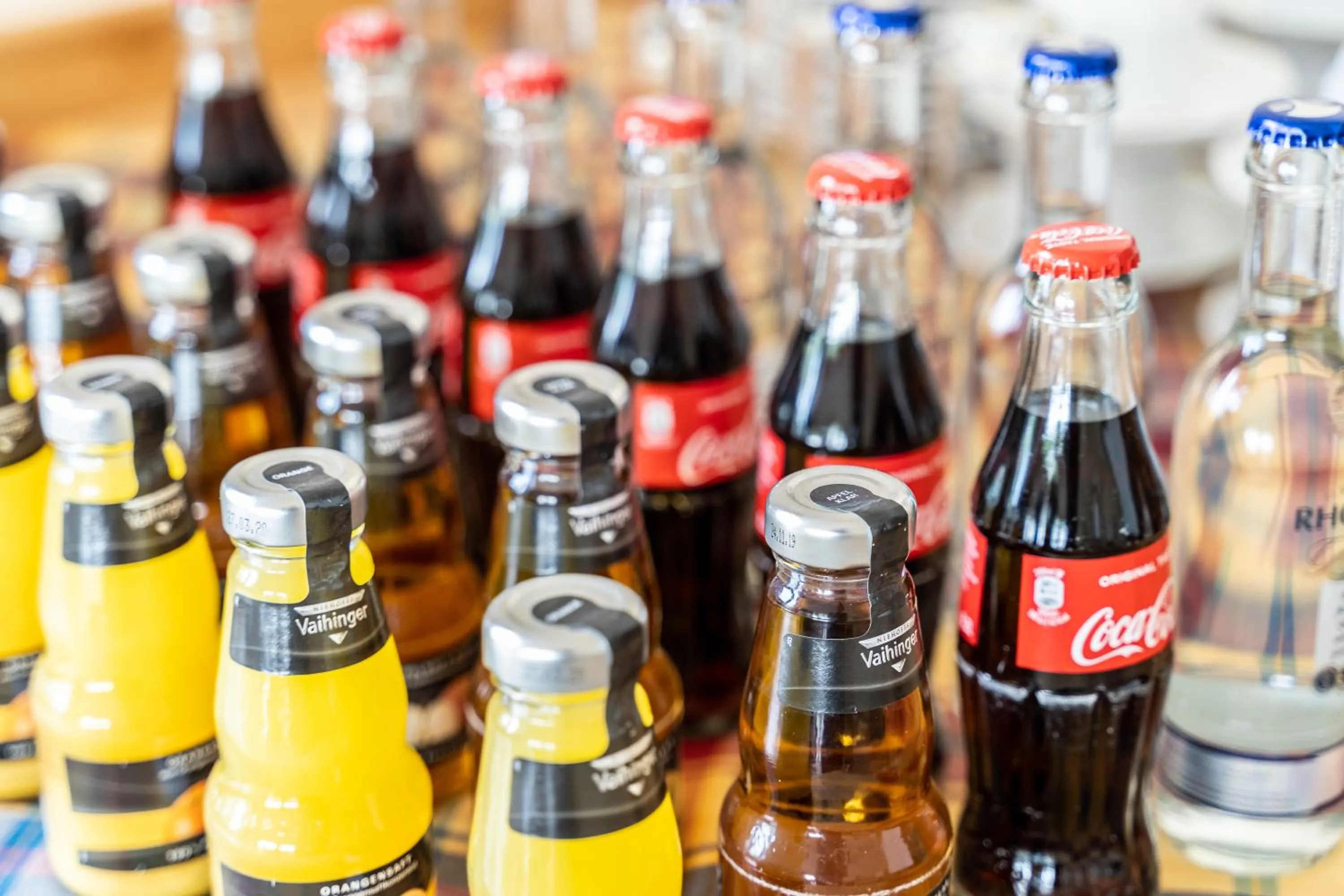 Banquet/Function facilities in Hotel Rieder