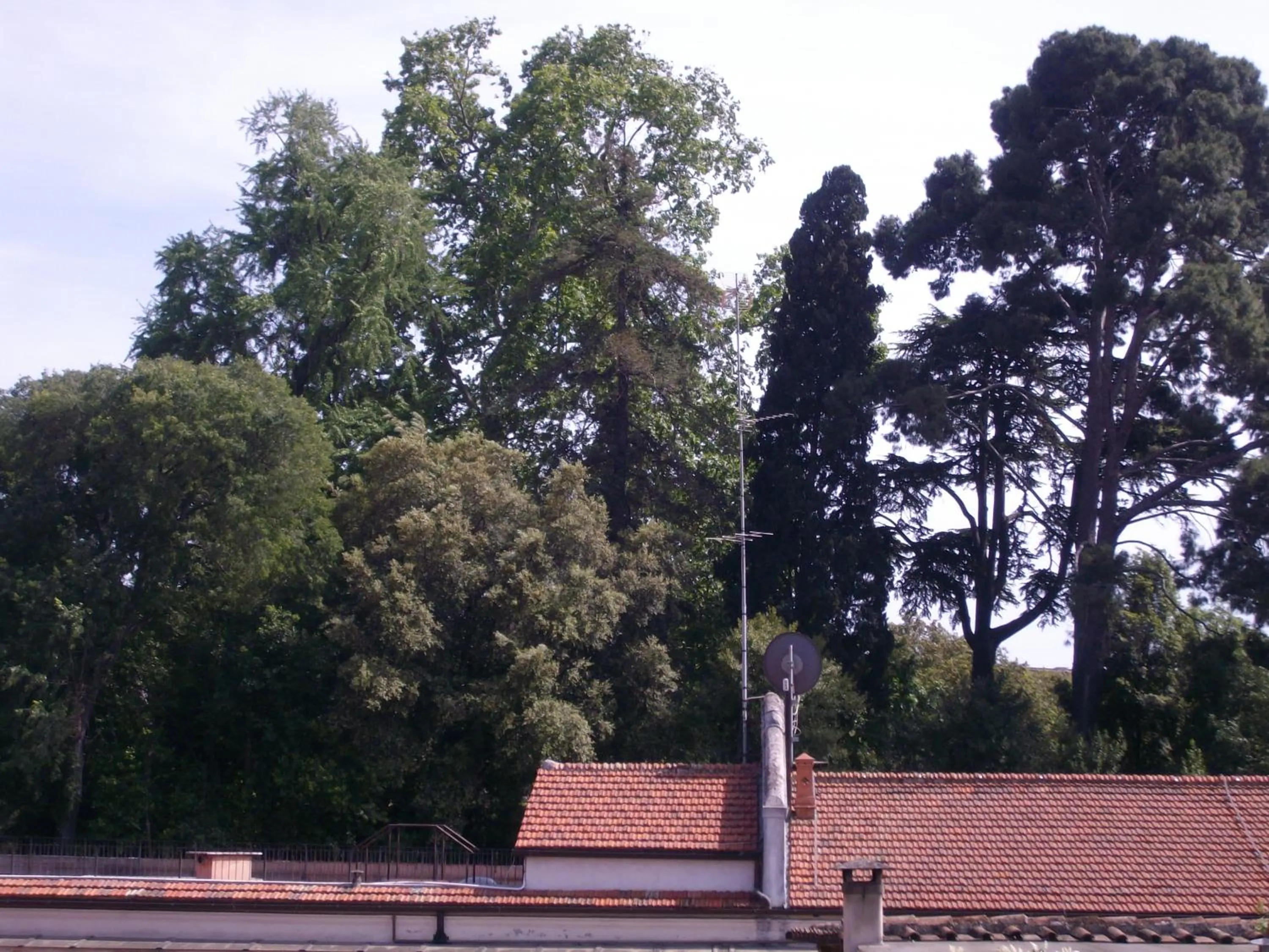 Property building in President Gardens