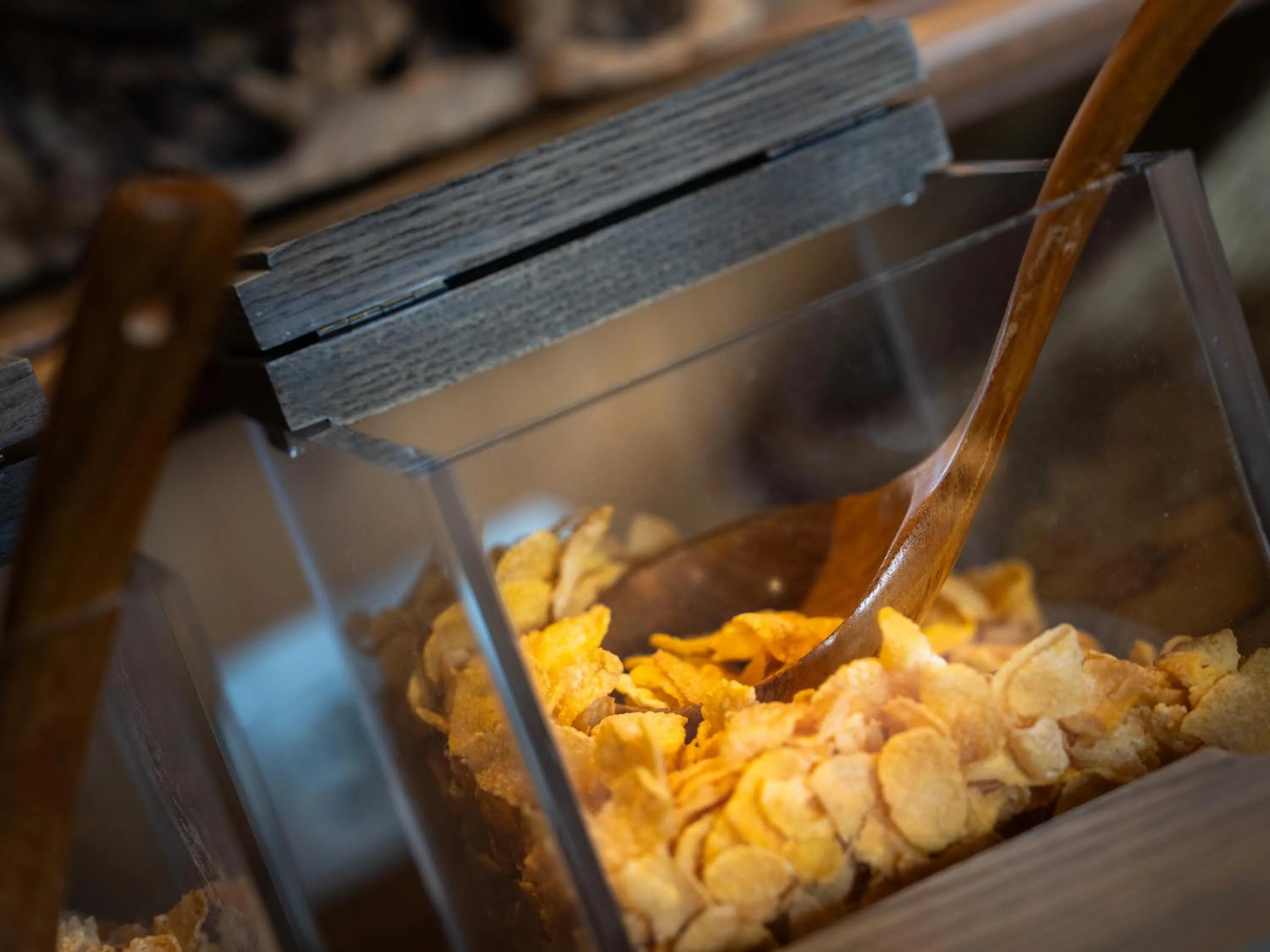 Alpenresidenz Trisanna