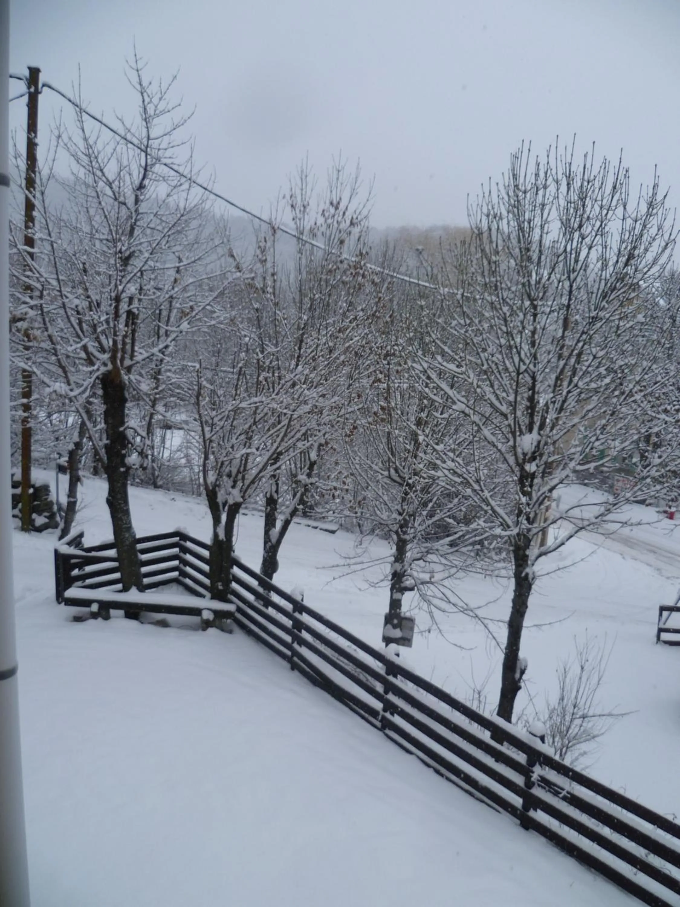 Garden view in Maison familiale des Gueyniers