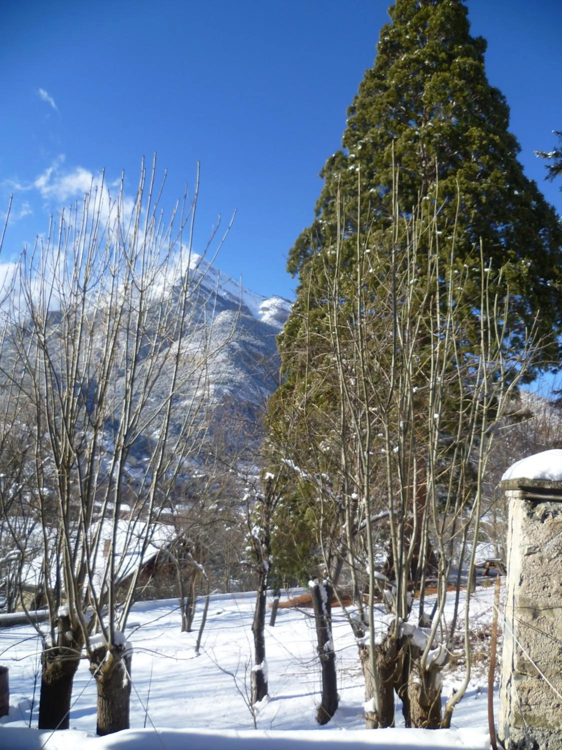 View (from property/room) in Maison familiale des Gueyniers