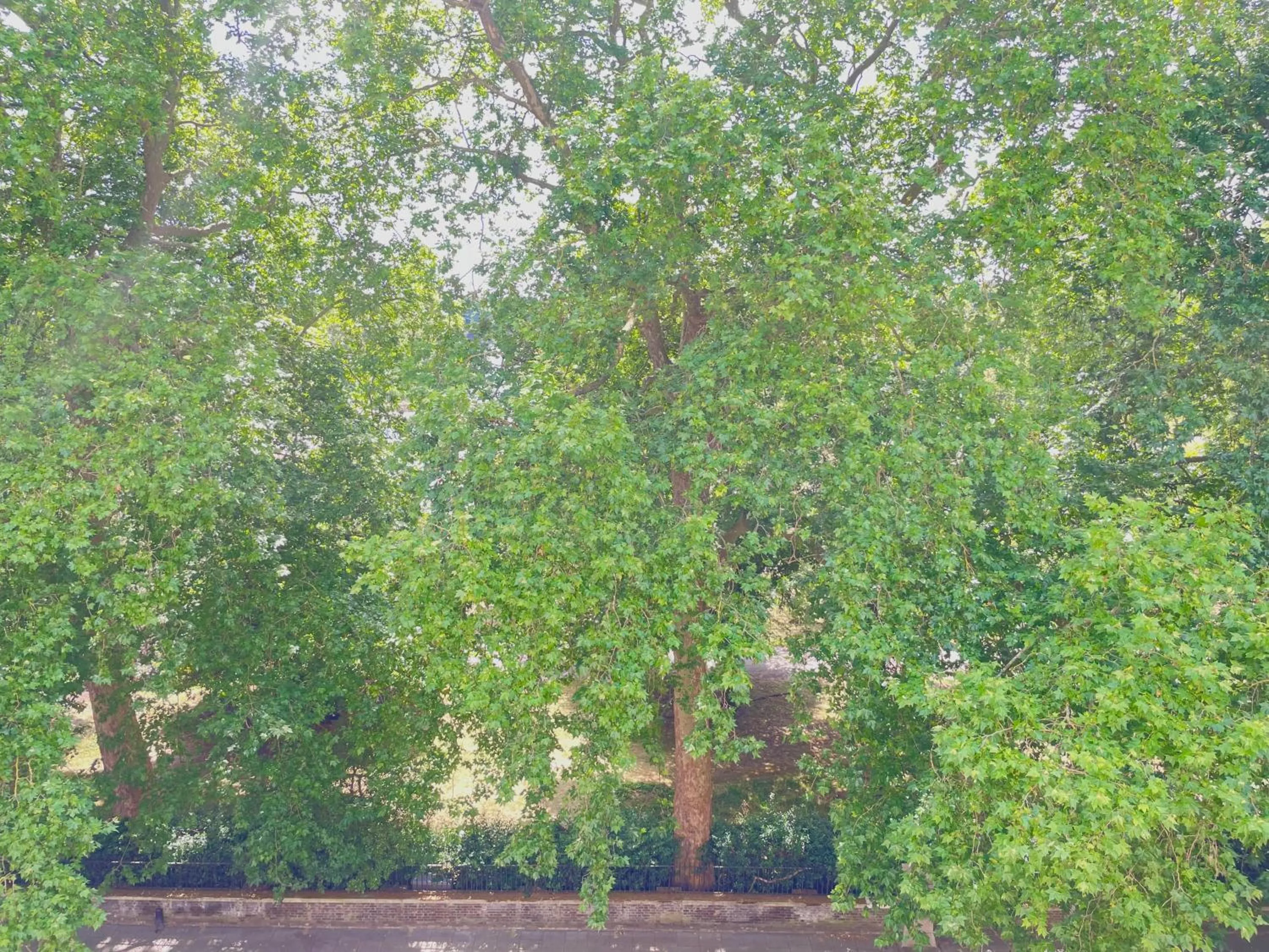 Street view in Hotel 63