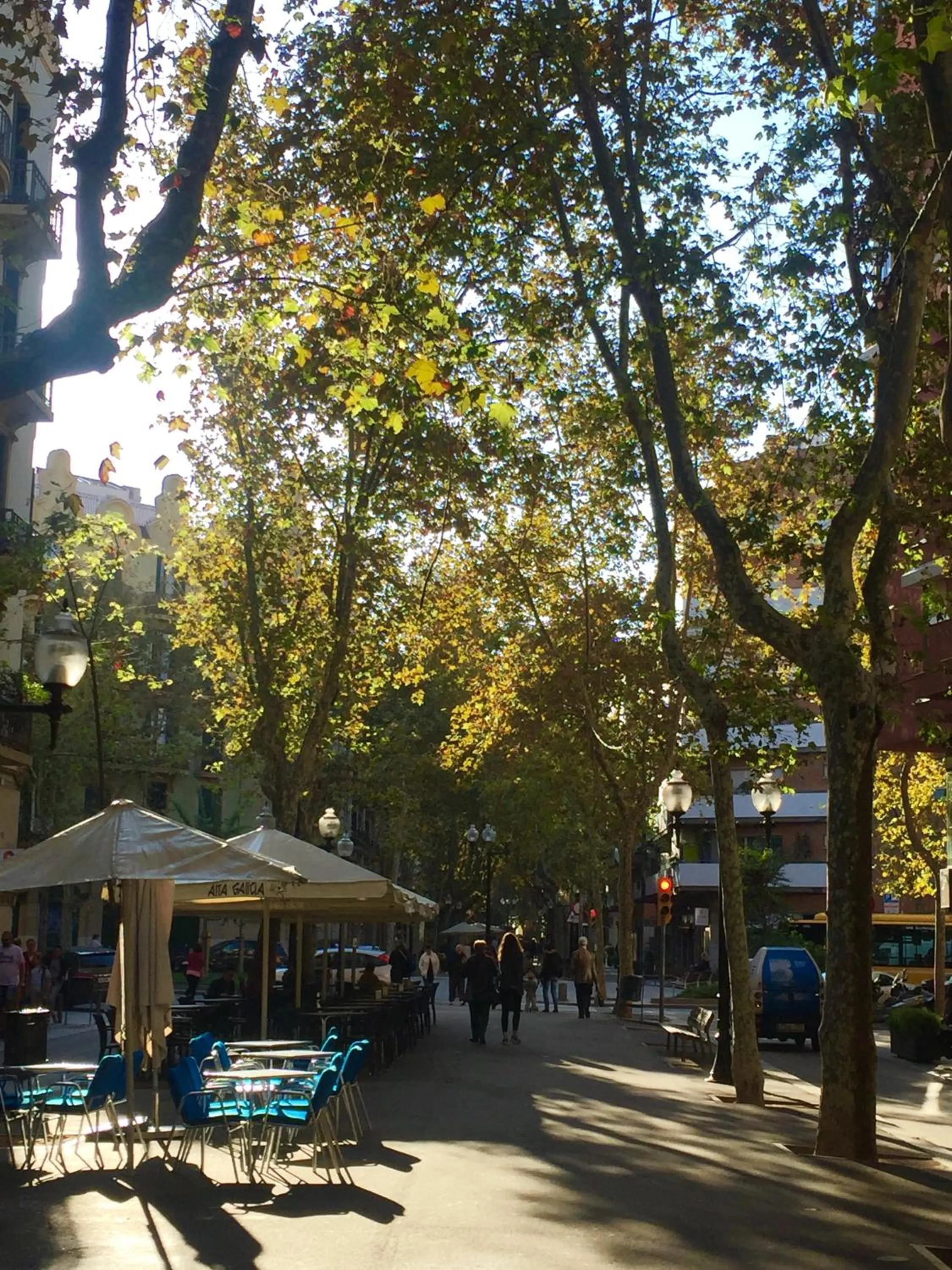 Restaurant/places to eat in Charm Miró