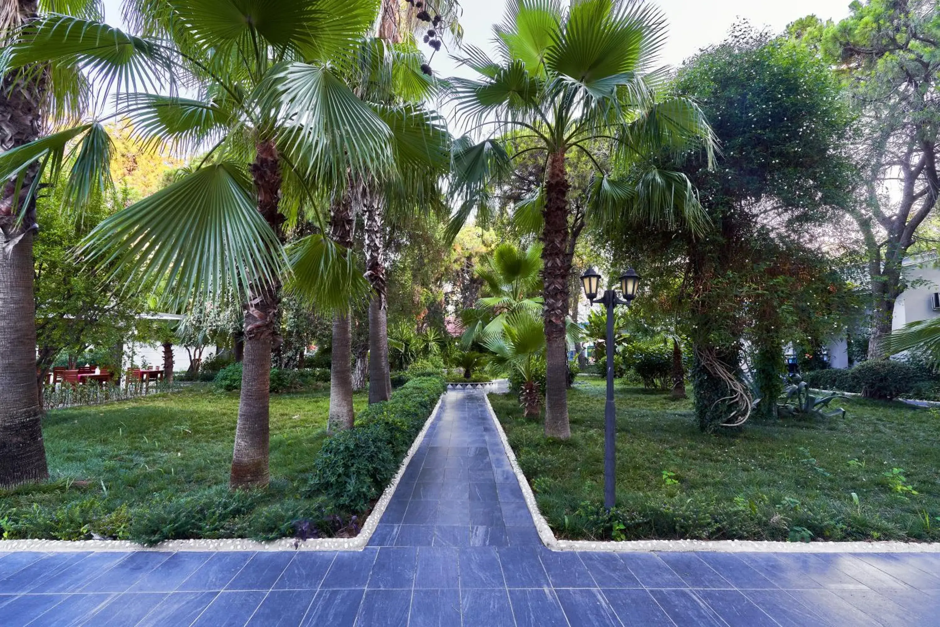 Garden in Maya Golf Hotel