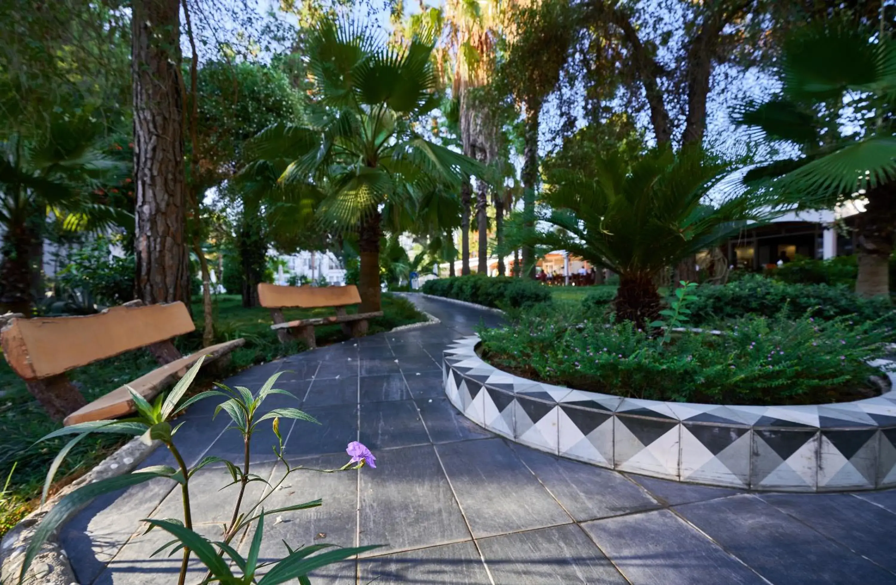 Garden in Maya Golf Hotel