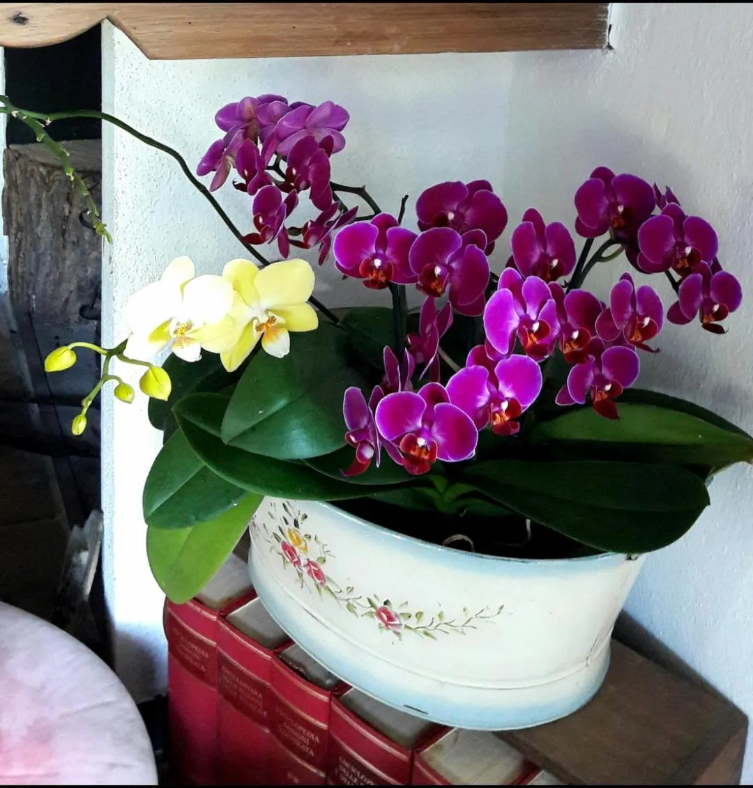 Decorative detail in The italian riviera