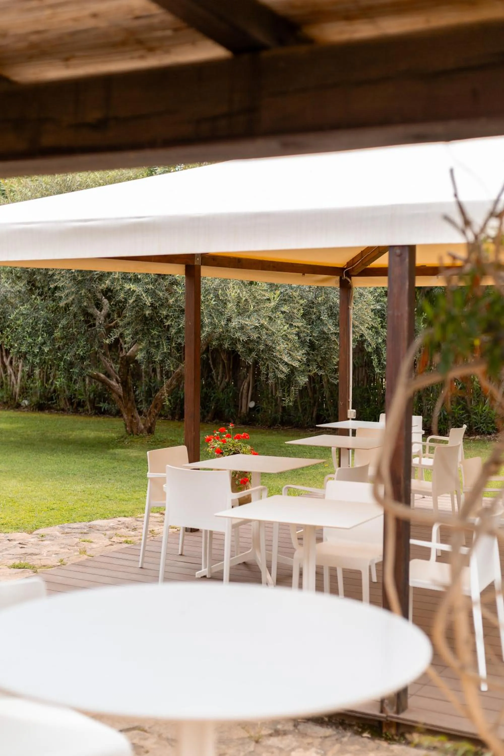 Garden in Porto Giunco Residence