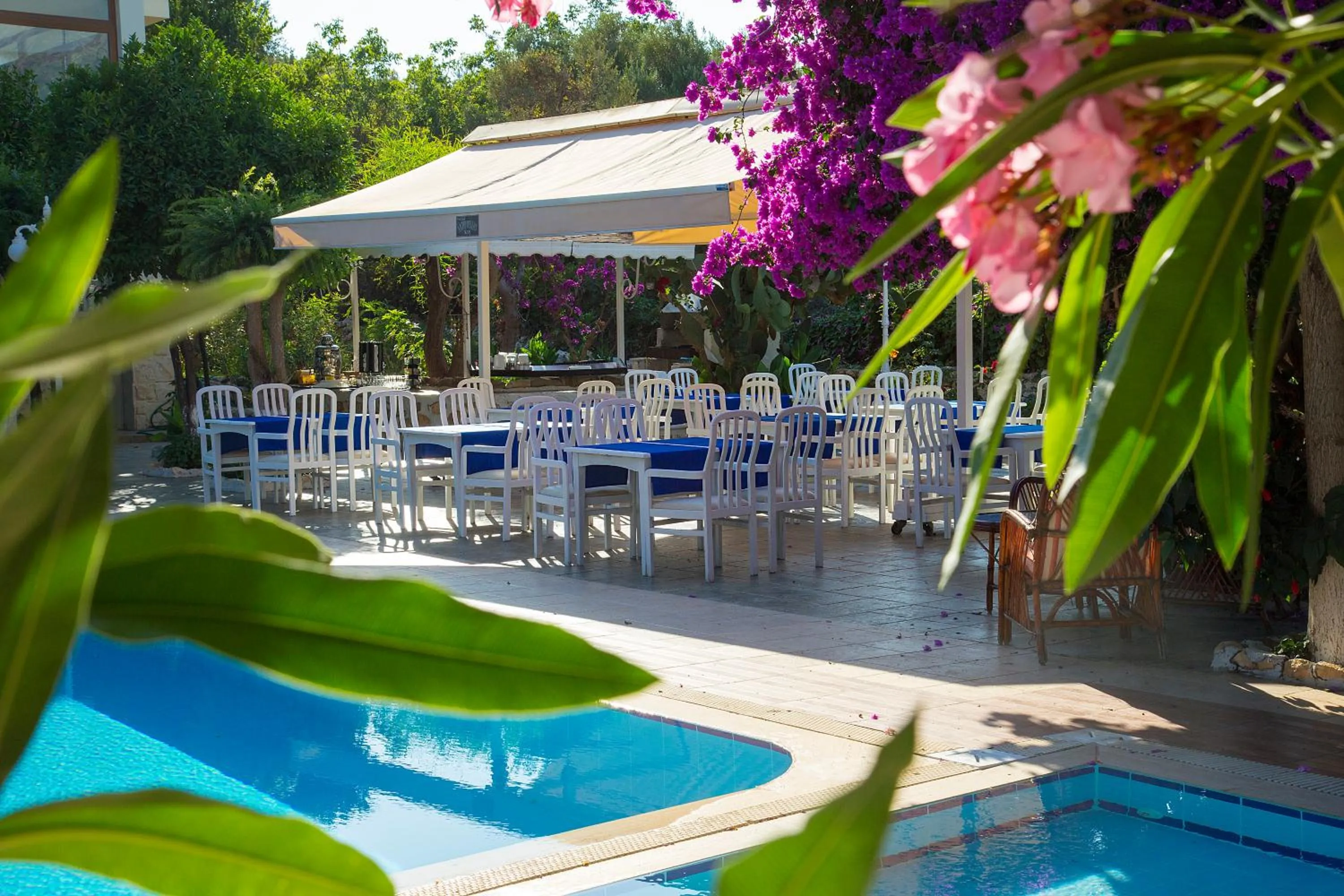 Day, Swimming Pool in Club Antiphellos