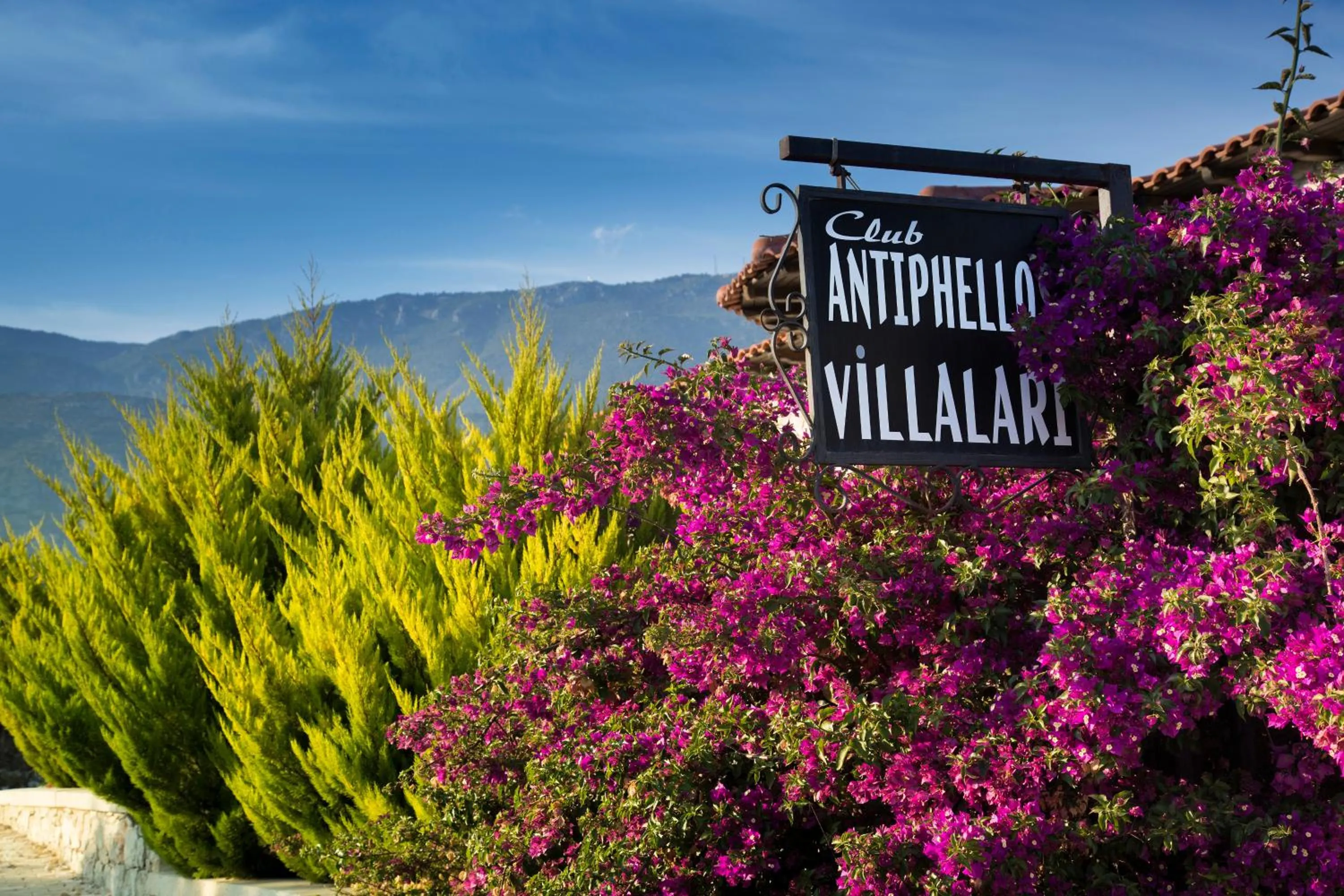 Day, Logo/Certificate/Sign/Award in Club Antiphellos