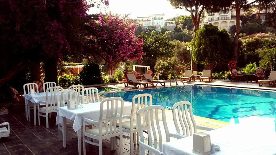 Restaurant/places to eat, Swimming Pool in Club Antiphellos