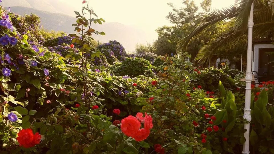 Spring in Club Antiphellos