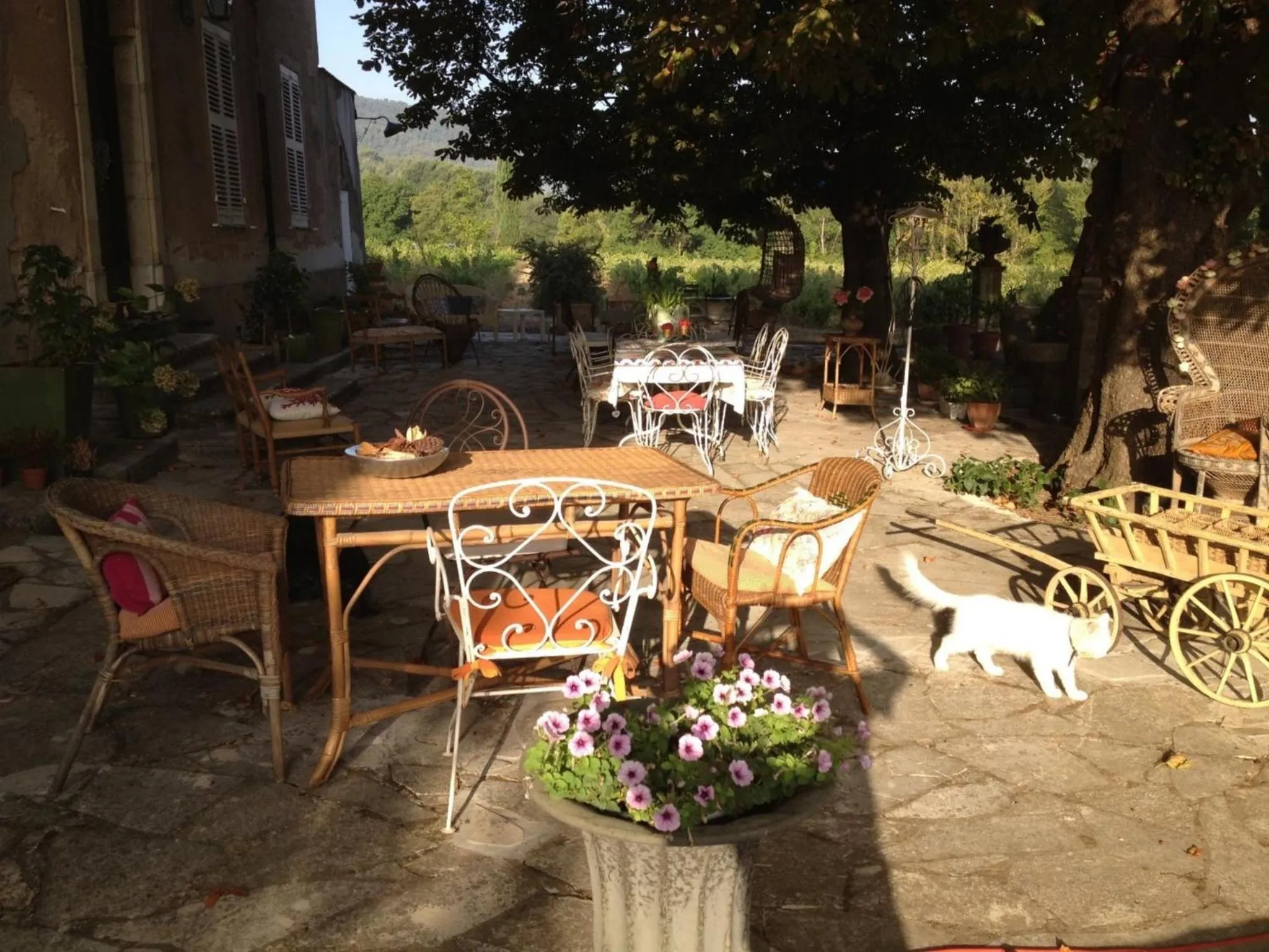 B&B Domaine Le Clos du Pavillon "Authenticité et Ressourcement garantis"