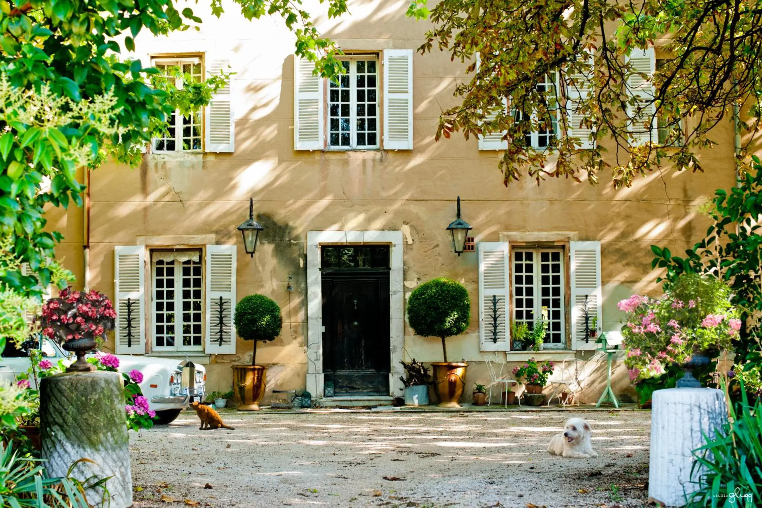 B&B Domaine Le Clos du Pavillon "Authenticité et Ressourcement garantis" B&B Domaine Le Clos du Pavillon "Authenticité et Ressourcement garantis"