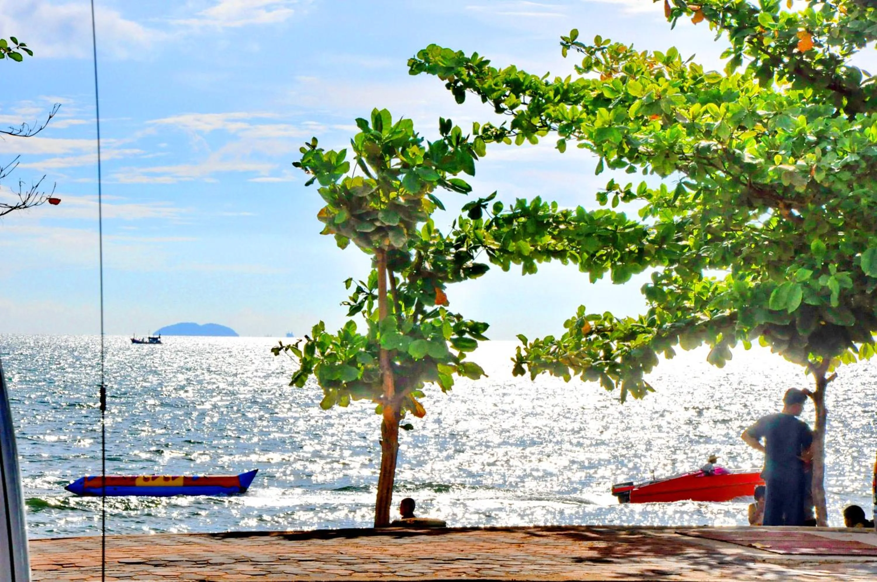 Day in Beach Gallery House