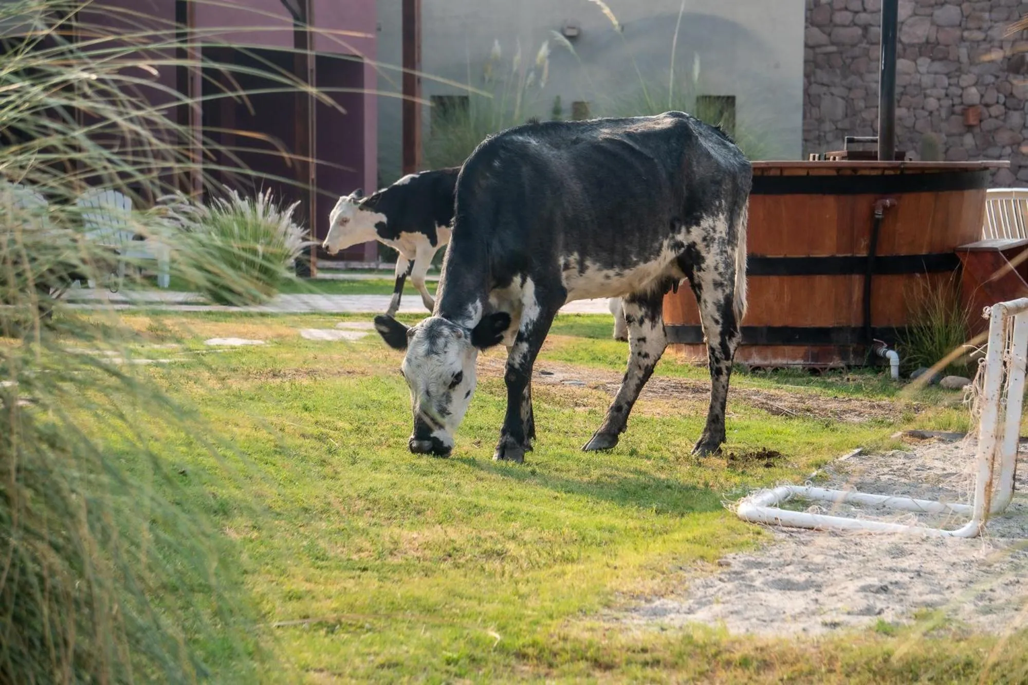 Natural landscape in Hotel Castillos de Cafayate