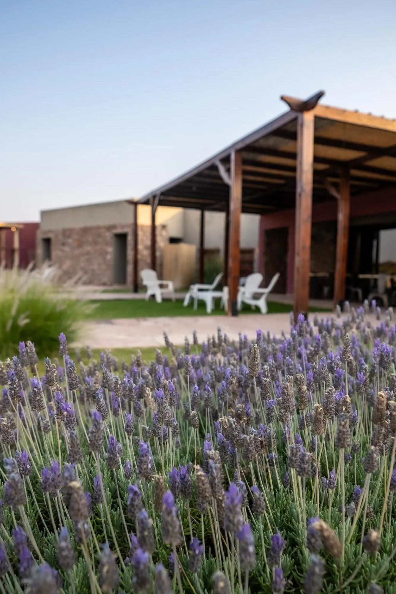 Garden in Hotel Castillos de Cafayate