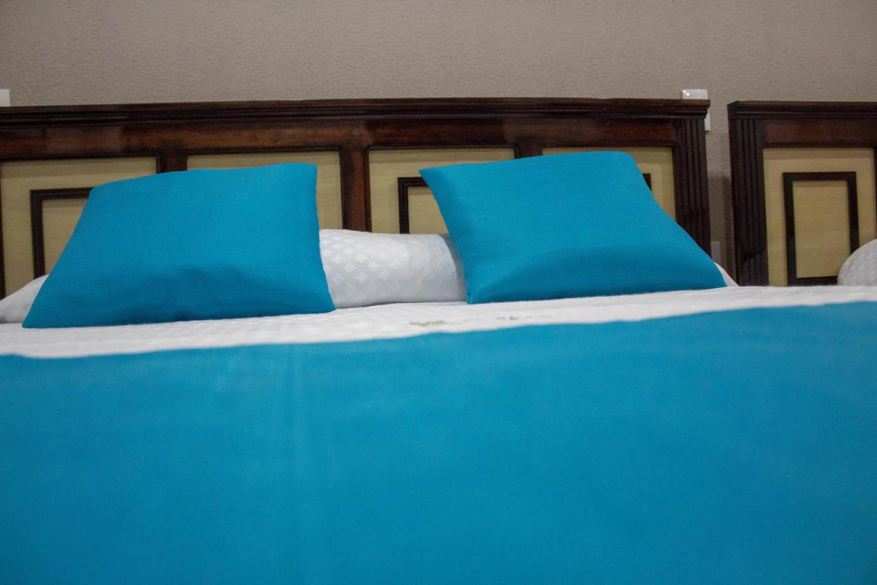 Bed in HOTEL DE LA PEÑA INN