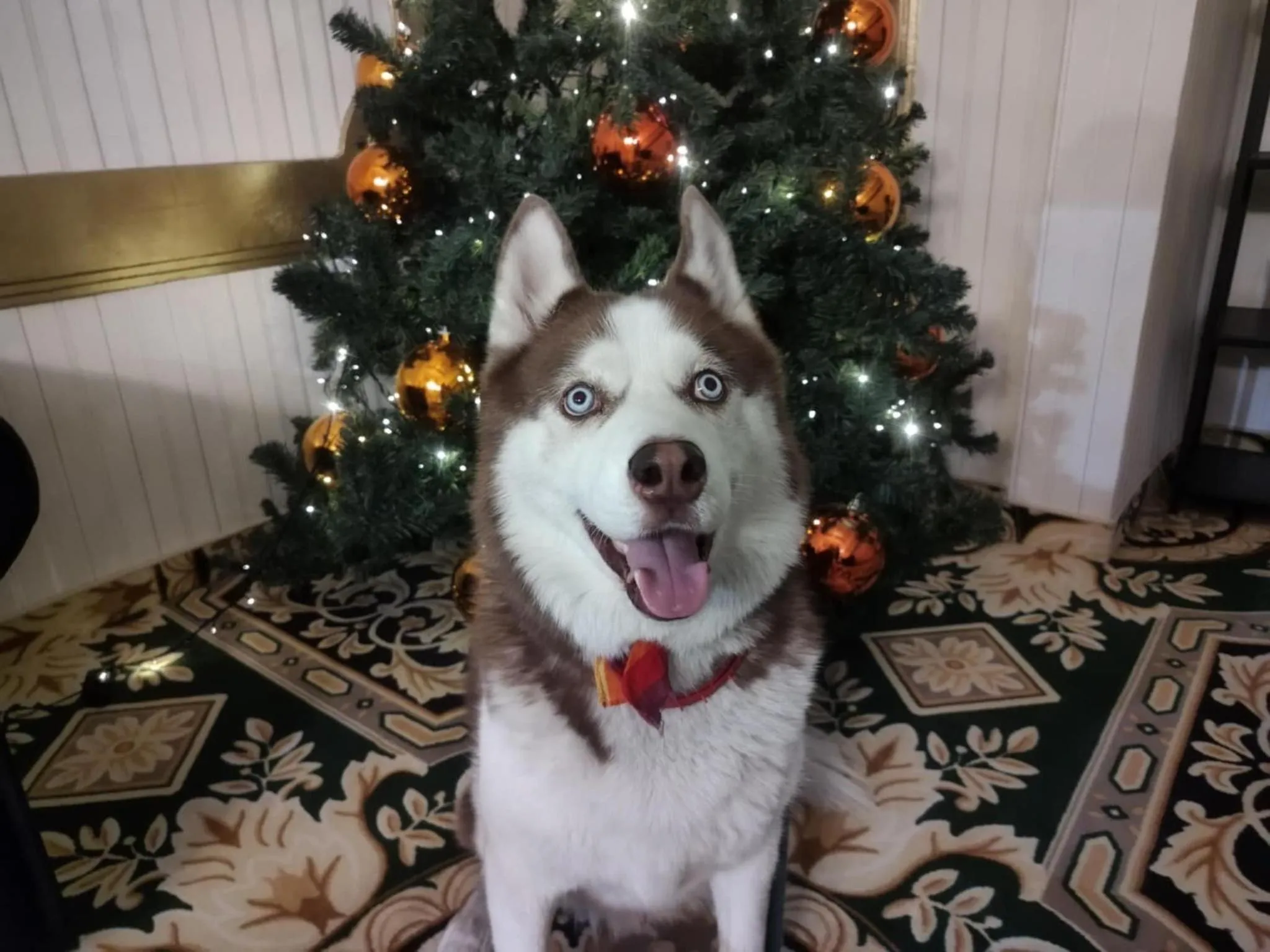 Property building in Korona Hotel