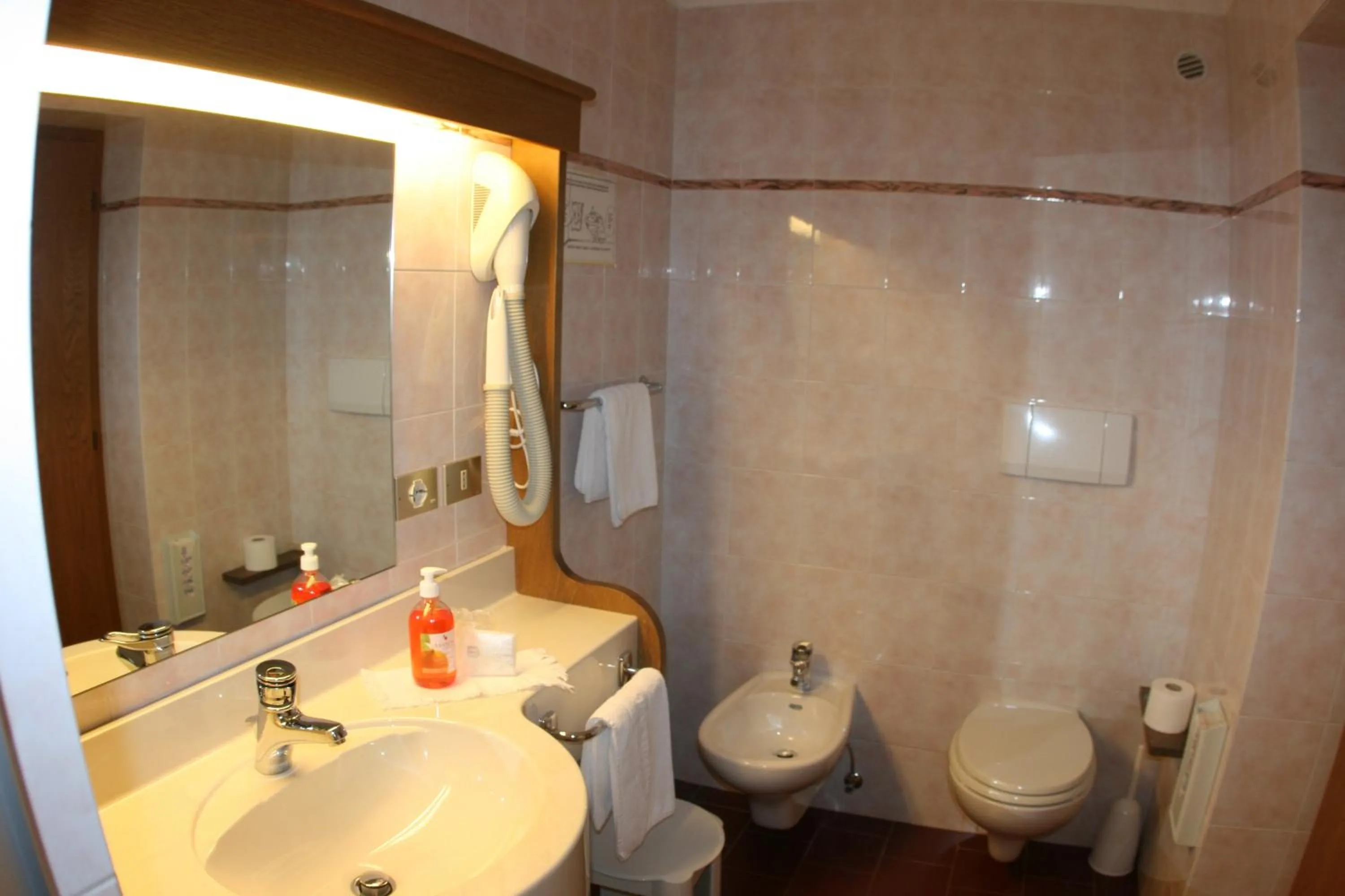 Bathroom in Hotel Catinaccio