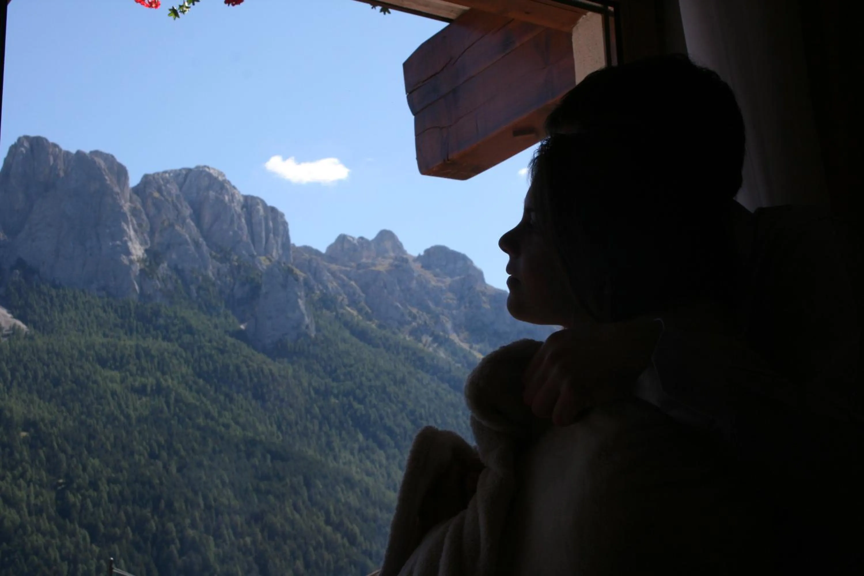Mountain view in Hotel Catinaccio