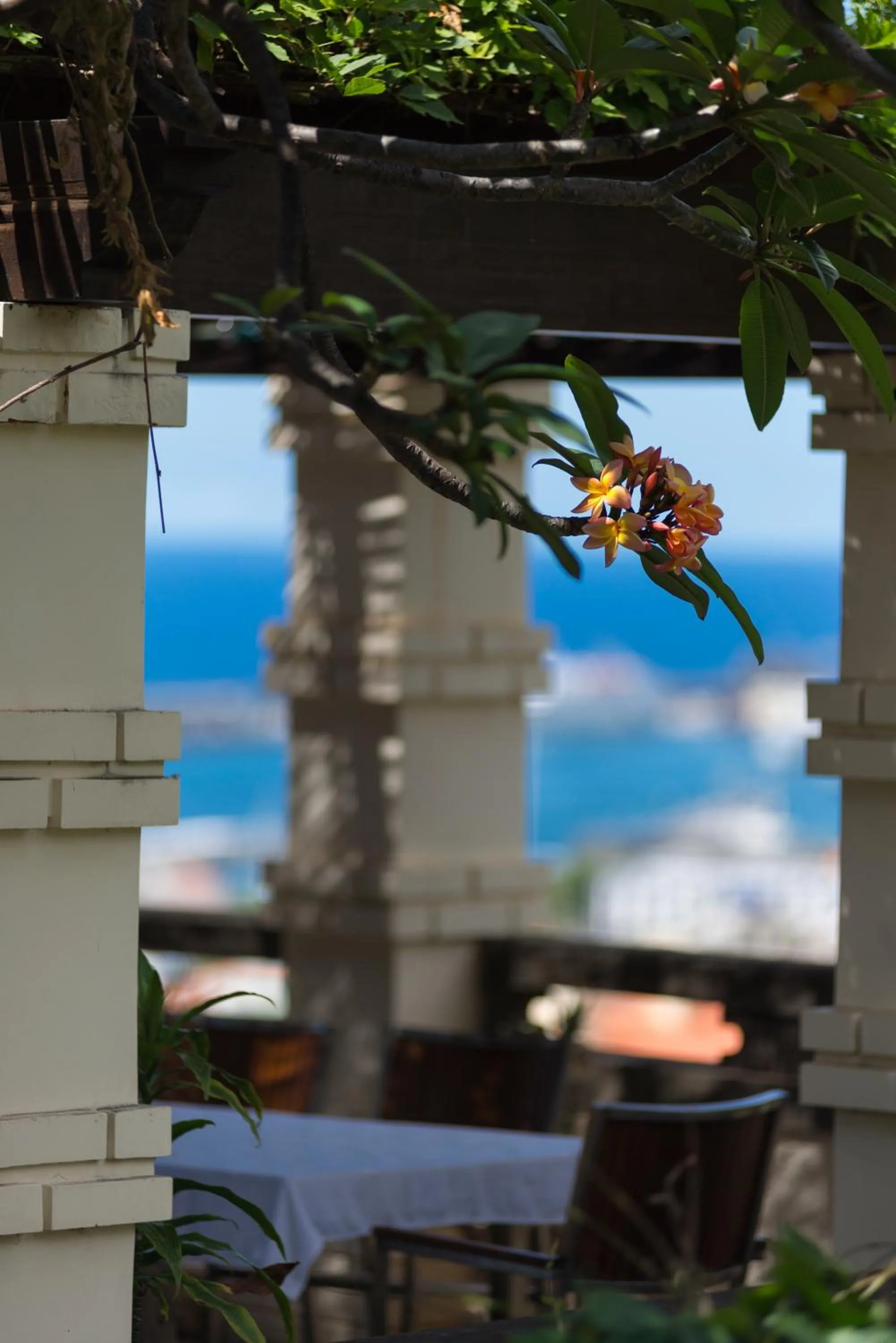 ARTS IN Hotel Conde Carvalhal