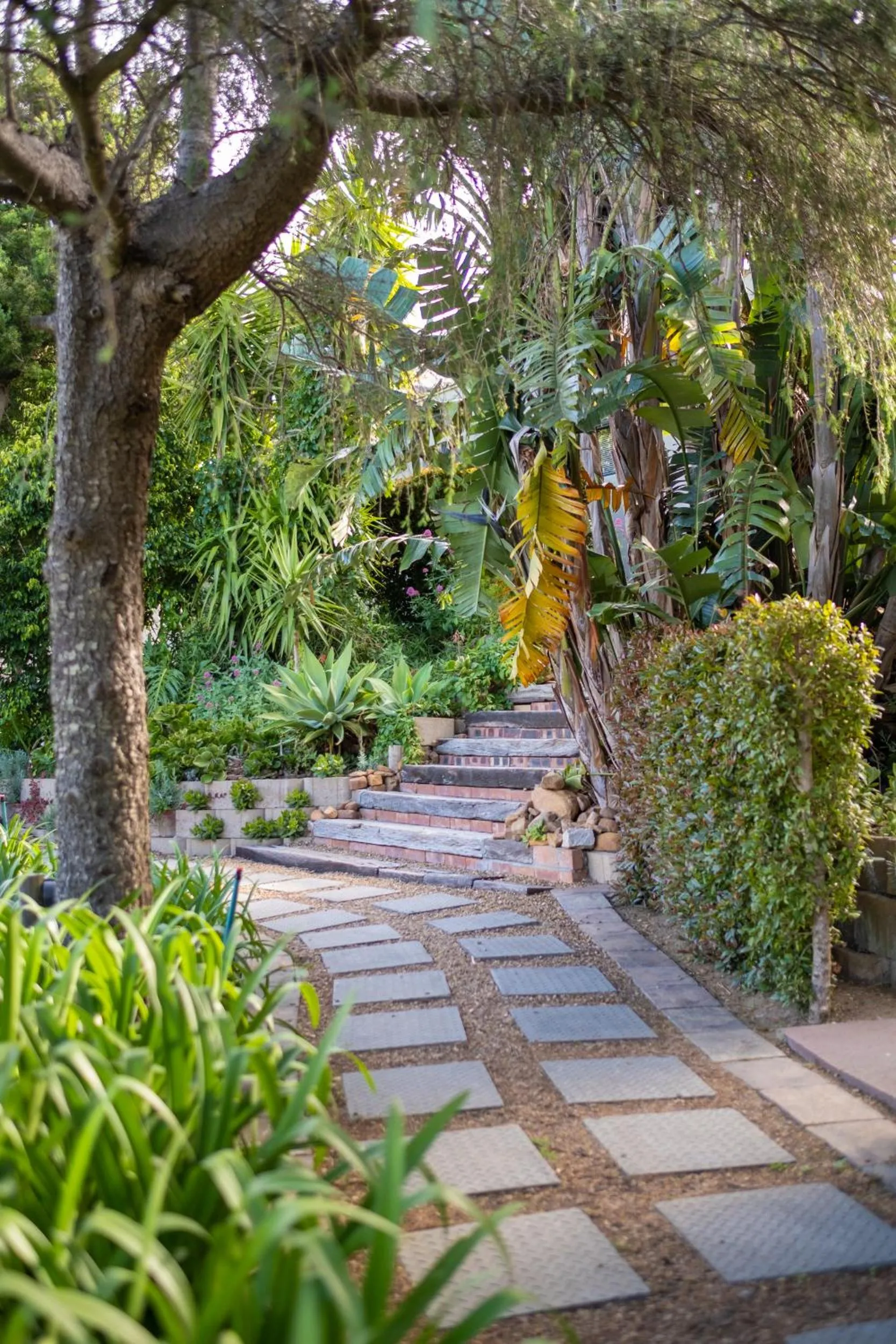Garden in Dreamhouse Guest House