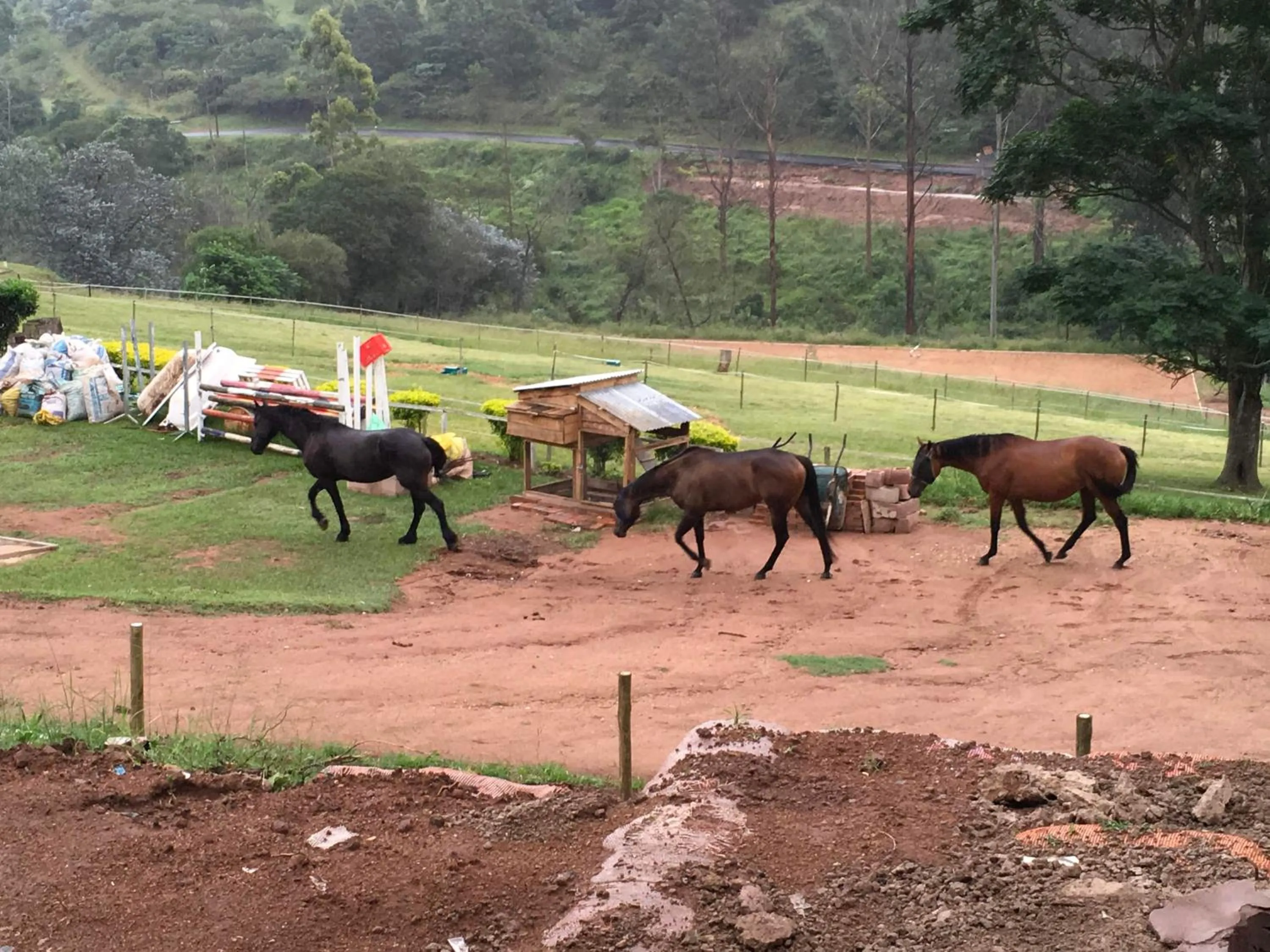 Garden in Cavalo Guesthouse & Equestrian Estate
