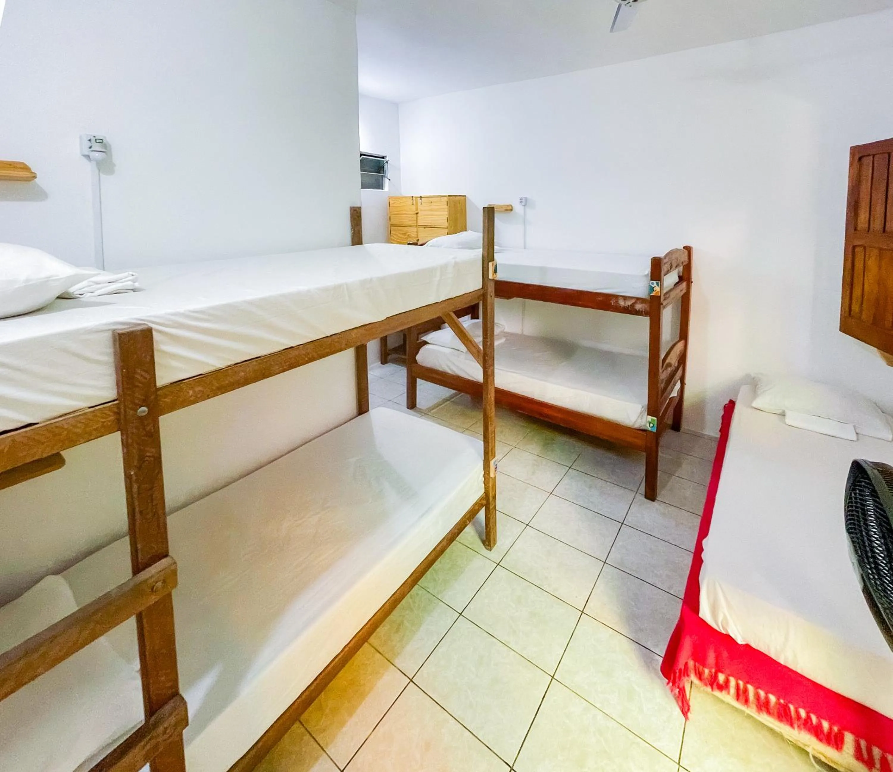 Bunk Bed in Female Dormitory Room   in Buddy's Hostel Itacaré
